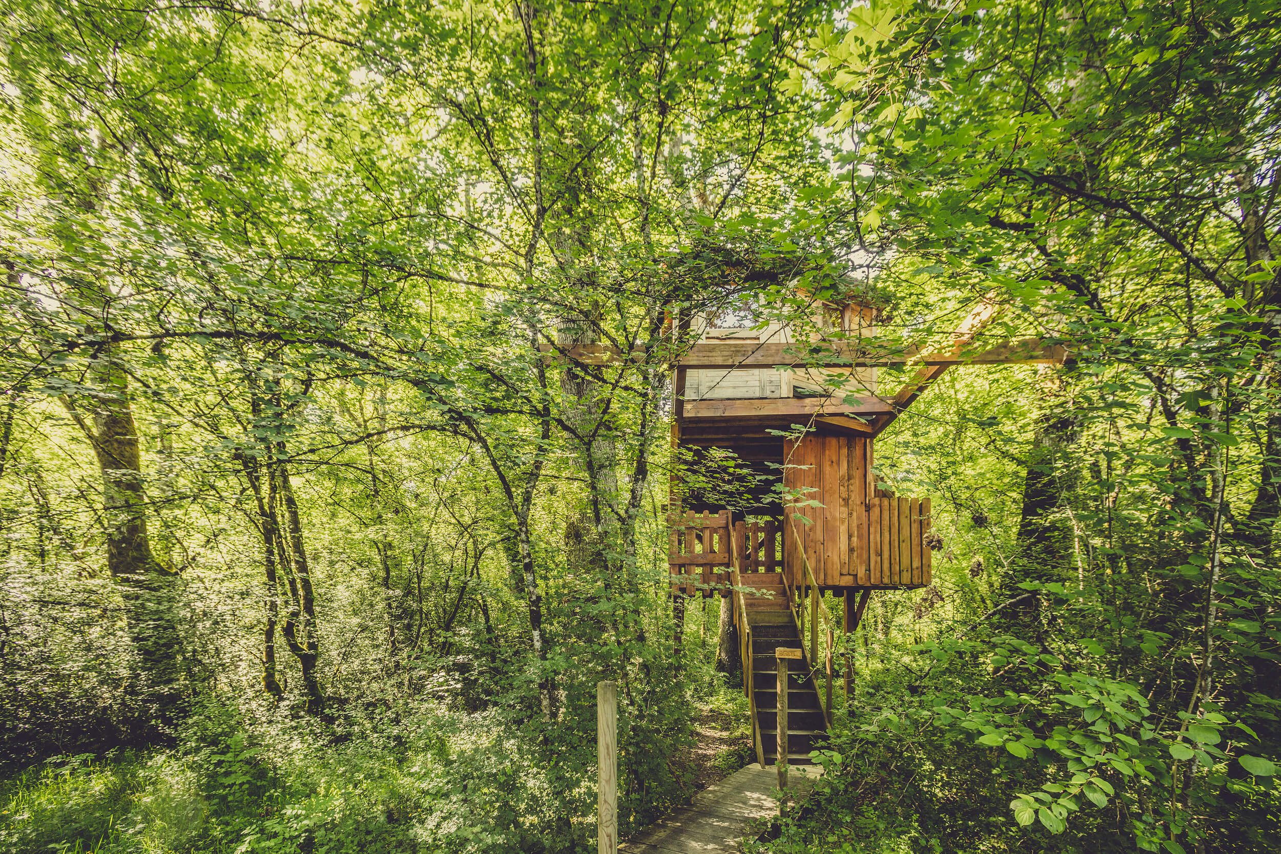 Escape to the forest- a look inside Basoa Suites' treehouses by MuruStudios advertising photographers in Madrid Barcelona Pamplona Spain 18.jpg