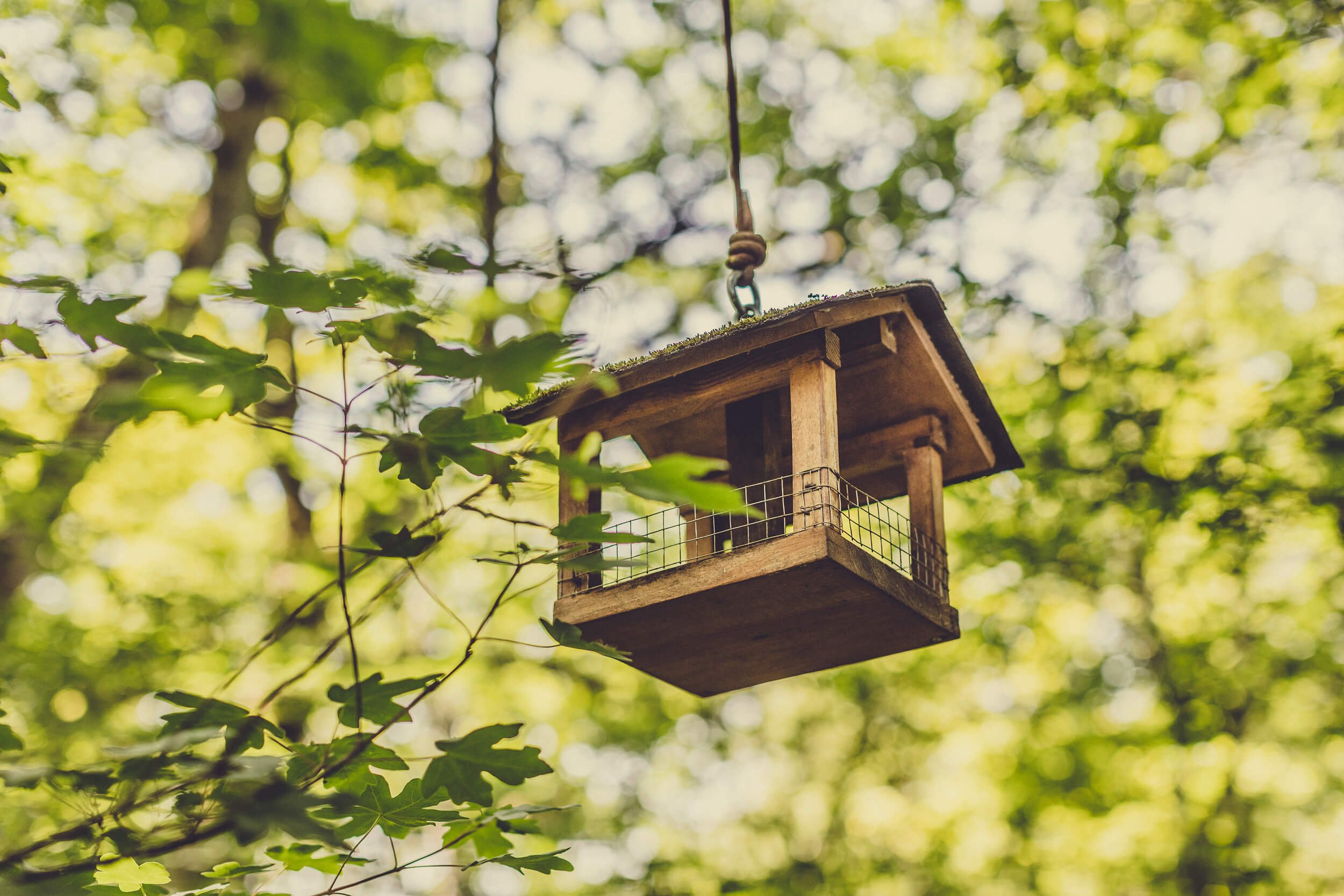 Escape to the forest- a look inside Basoa Suites' treehouses by MuruStudios advertising photographers in Madrid Barcelona Pamplona Spain 34.jpg