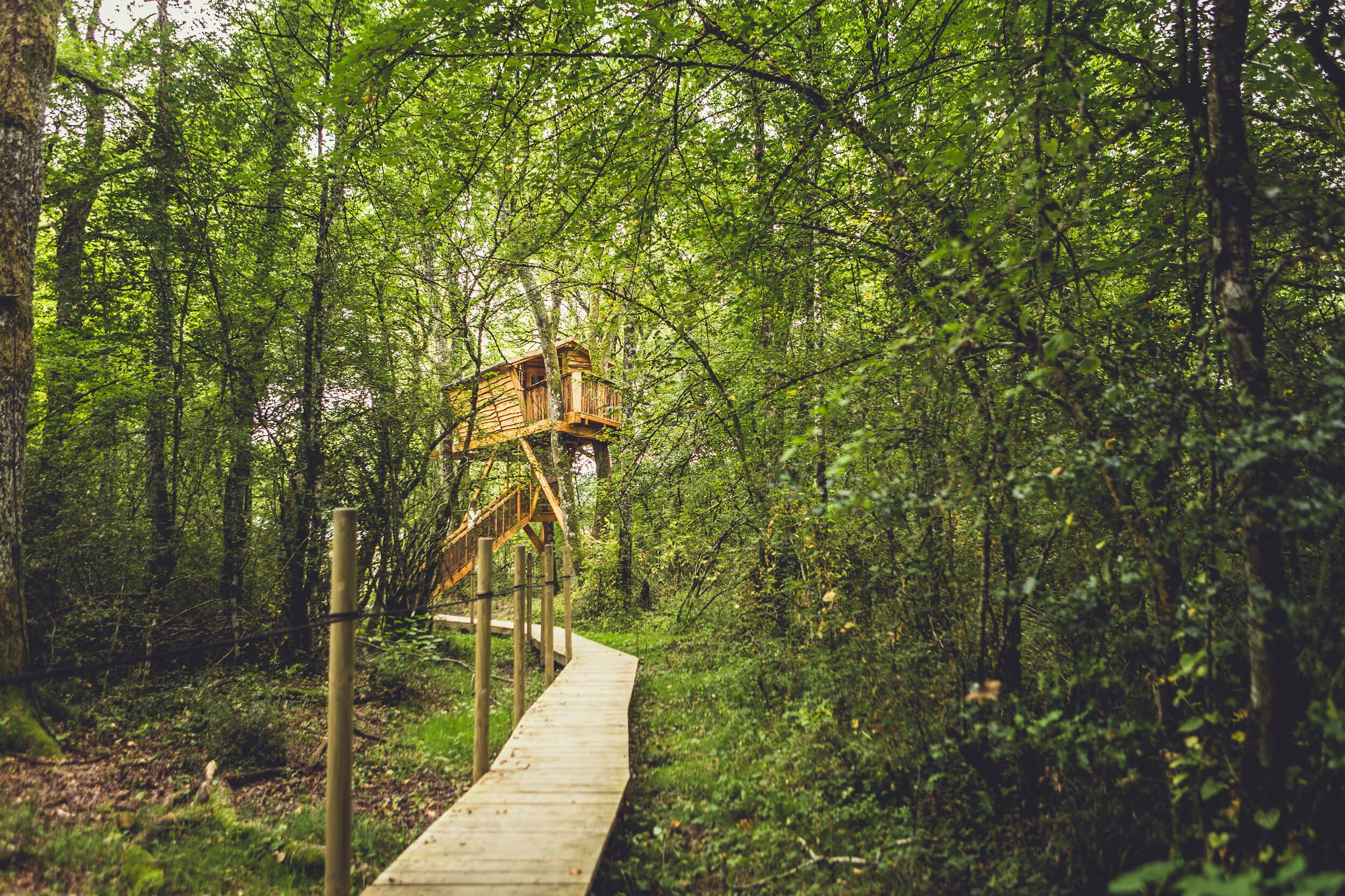 Escape to the forest- a look inside Basoa Suites' treehouses by MuruStudios advertising photographers in Madrid Barcelona Pamplona Spain 50.jpg