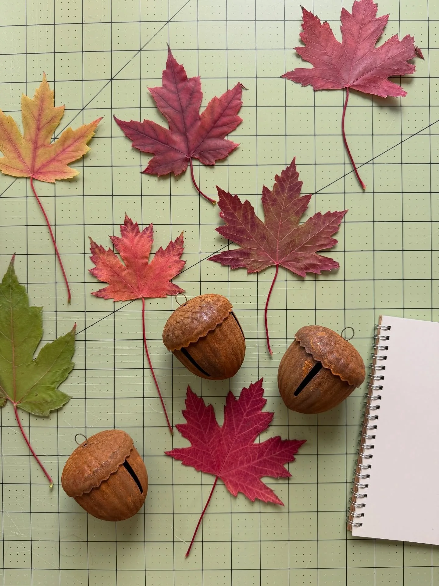 double posting today because my work table is making me wildly joyful! i foraged each leaf from our trip up north and delicately brought back home between the pages of a book. i&rsquo;ll be using them as a template for a sewing project! life feels so