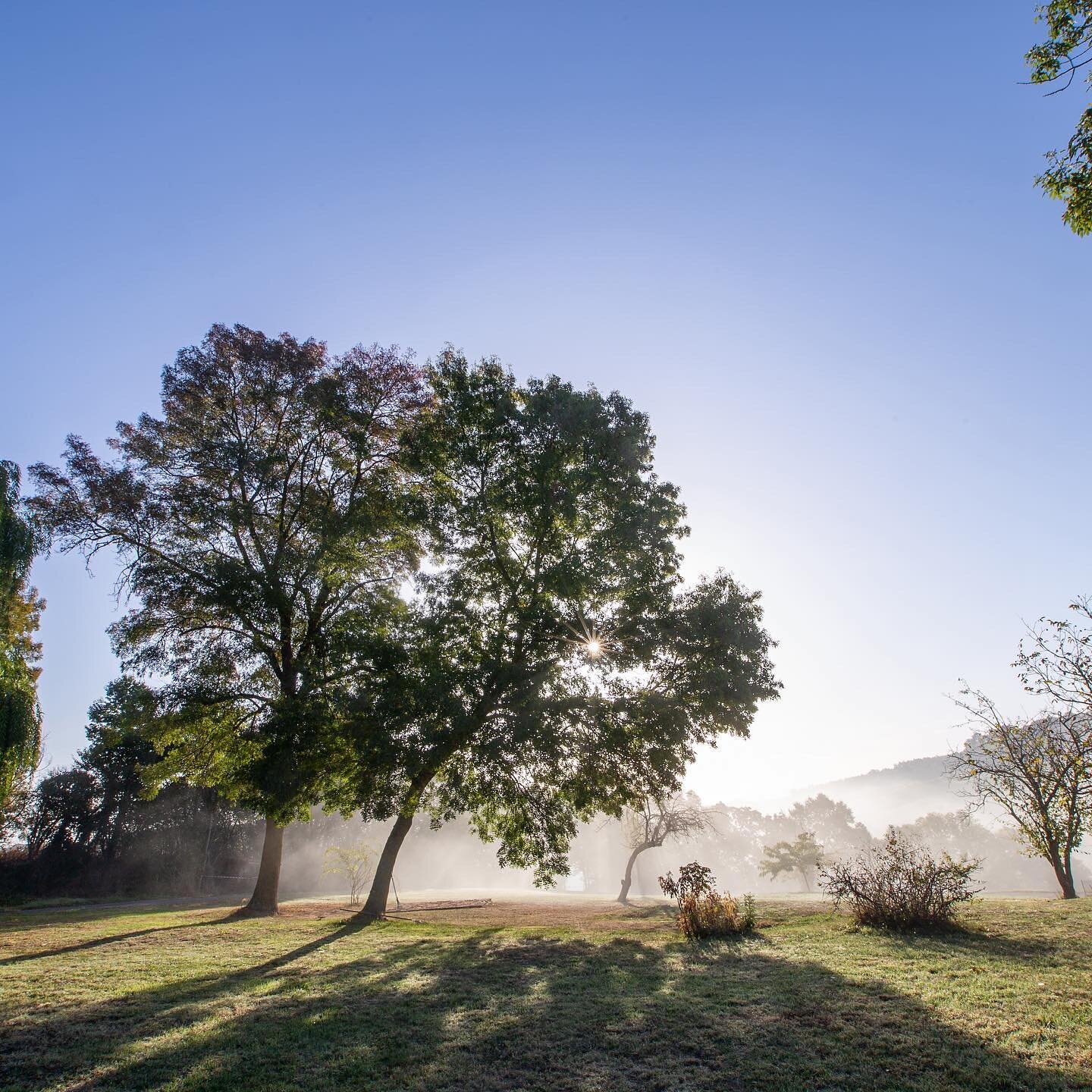 Trees are at the heart of the garden of Le Domaine de Manzac. Get a lounge chair in their shades during the summer, get fruits from our fruit trees in season and just watch the seasons change with them. 

#FranceTravel #TravelFrance #VisitFrance #Ins