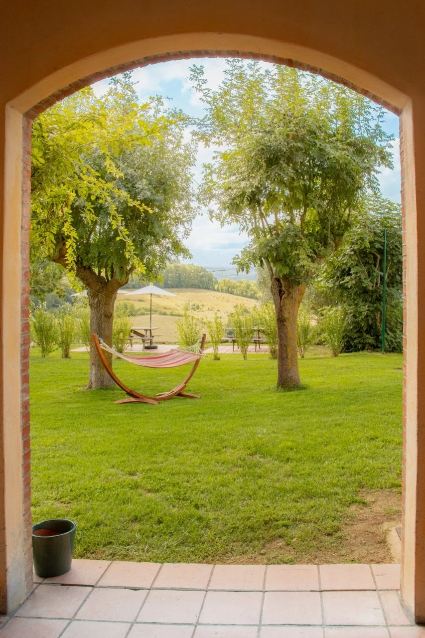 arc-arbres Large.jpeg