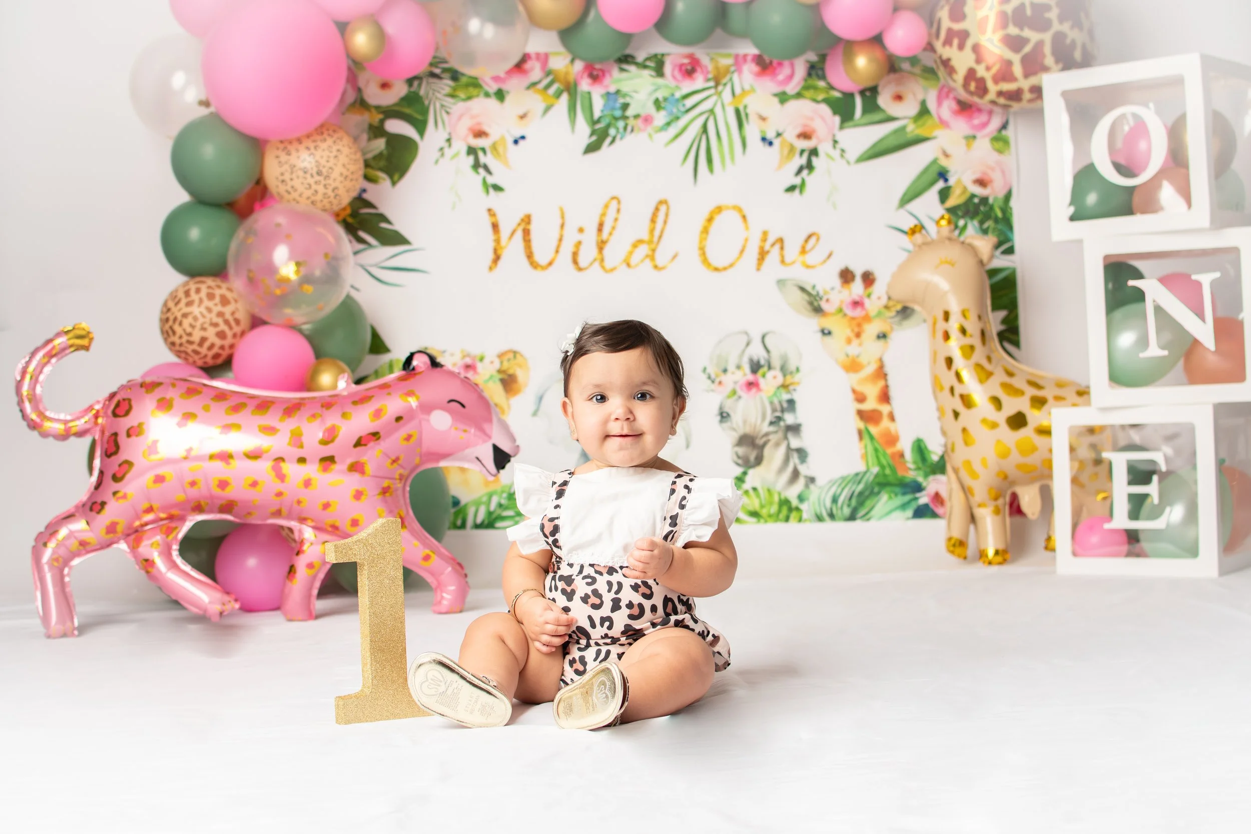 06-22-24 FirstBirthday 1873-Edit.JPG