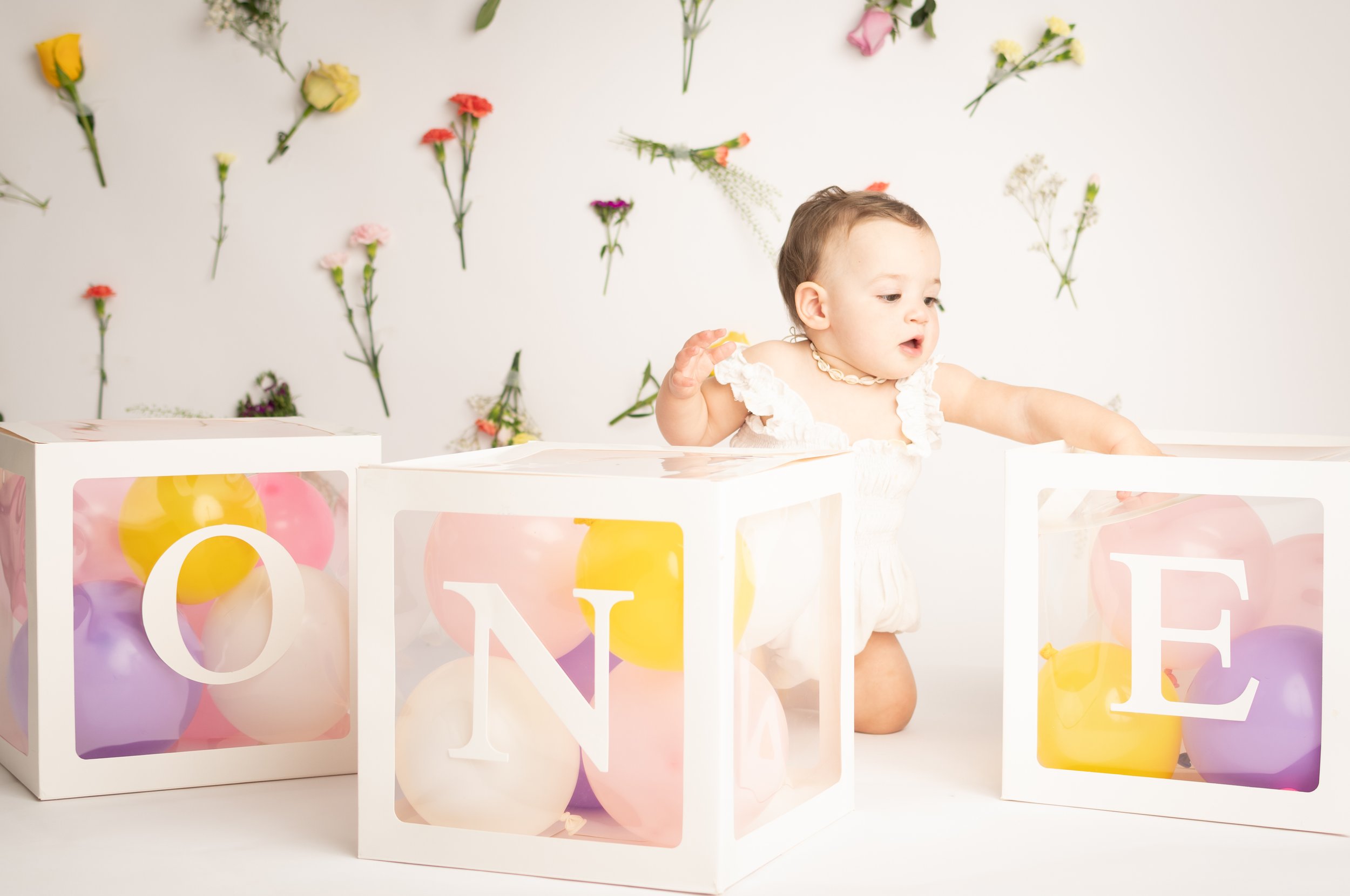 11-16-24 cakesmash 6404.JPG