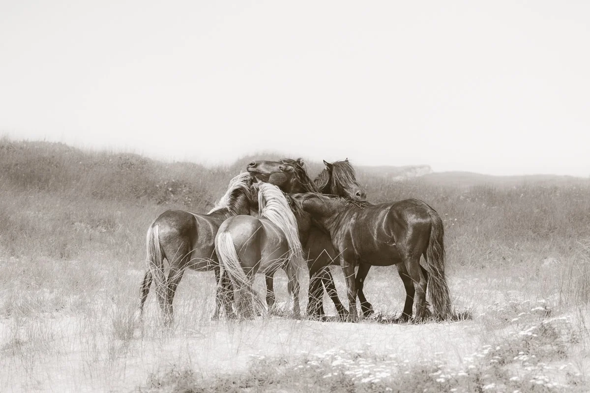 Free Spirits