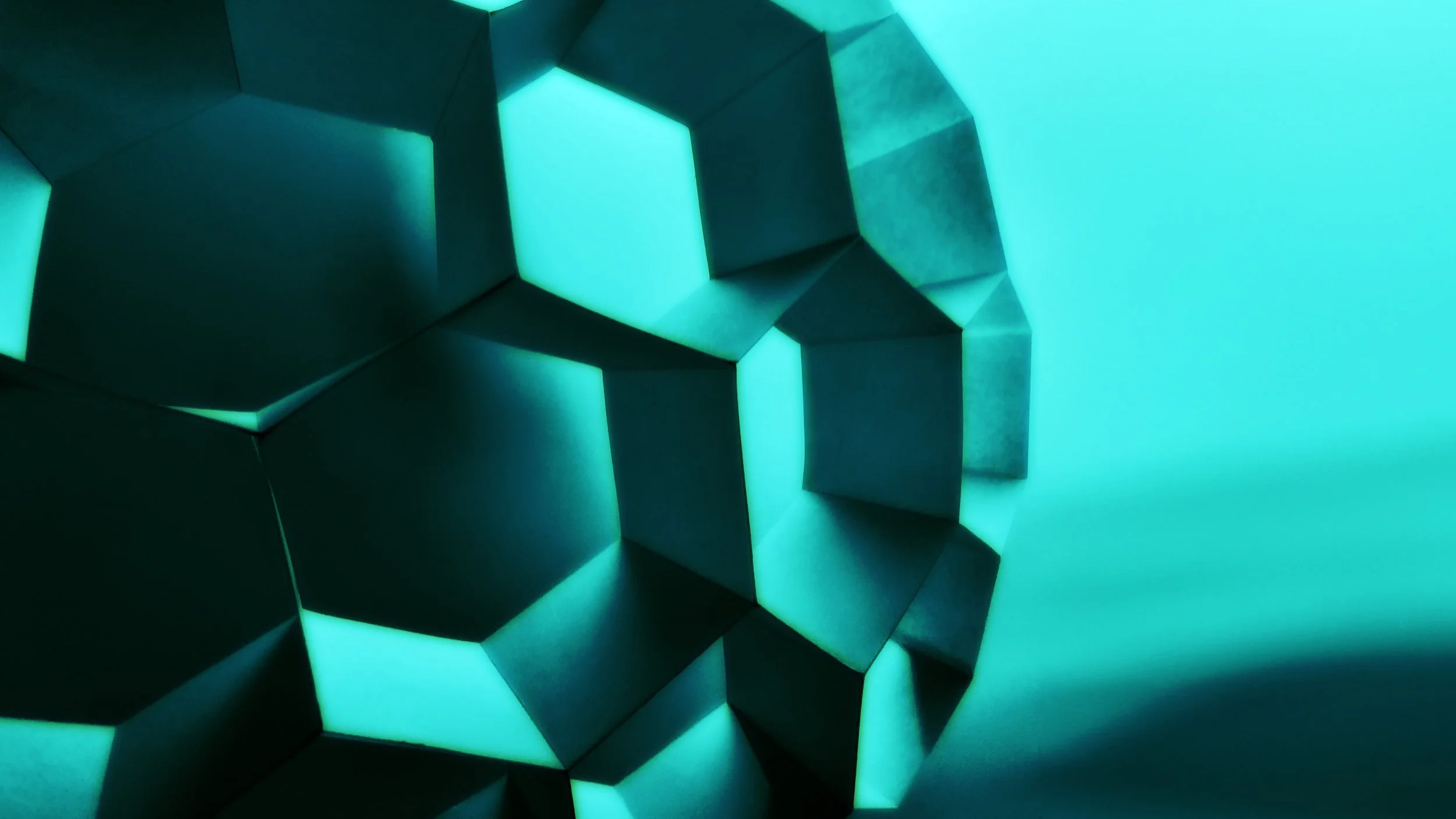 For Coral Conservation