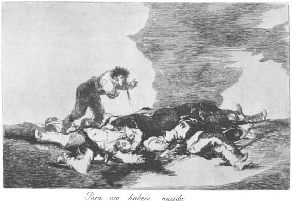 Goya, This Is What You Were Born For (Plate 12)