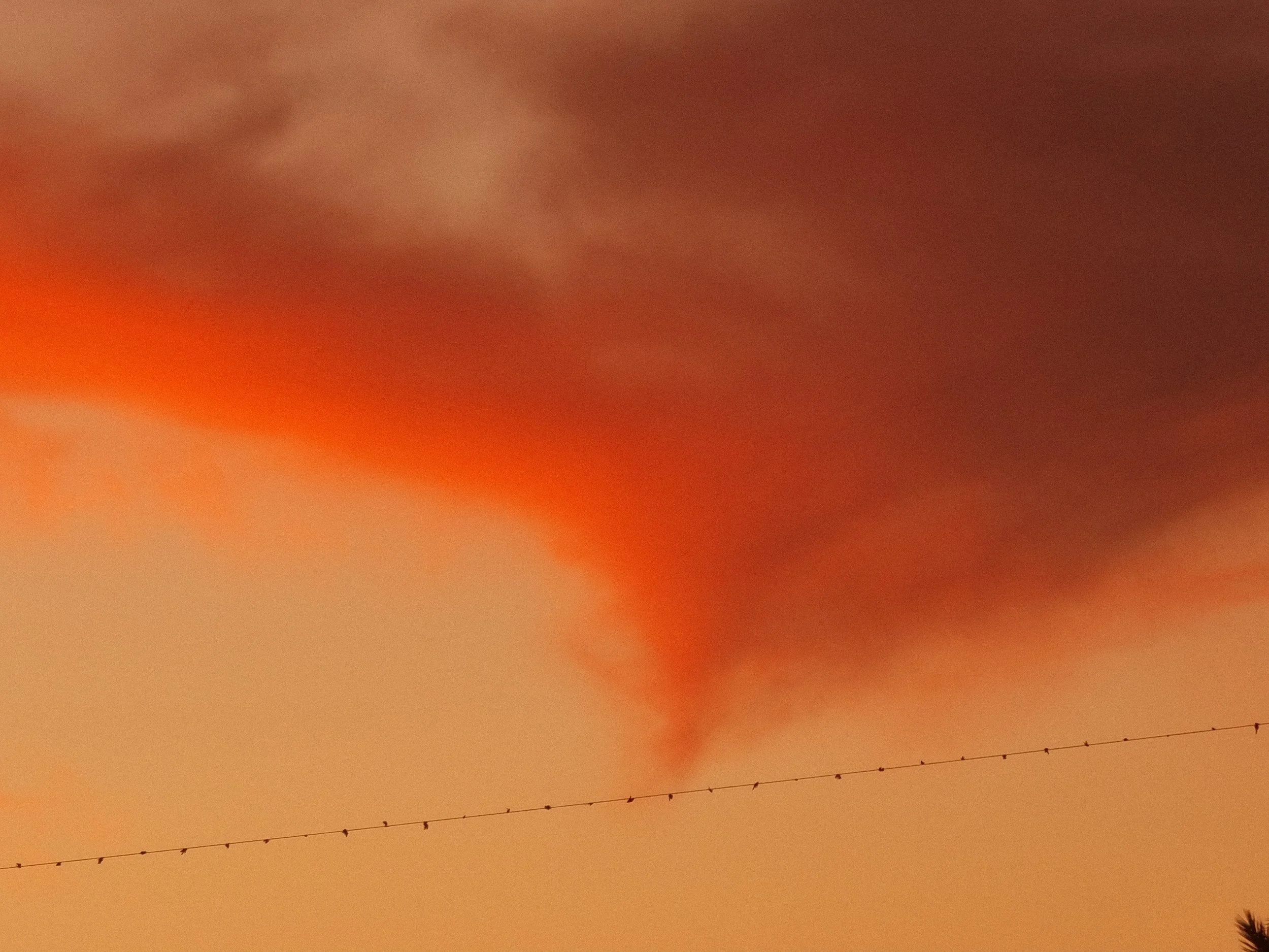 Shot in Dahab, by Frankie Breakfast during his travel in Egypt. The picture shows a red sunset. The sky is orange. A red cloud is the main subject. Birds sit on a electric cable.