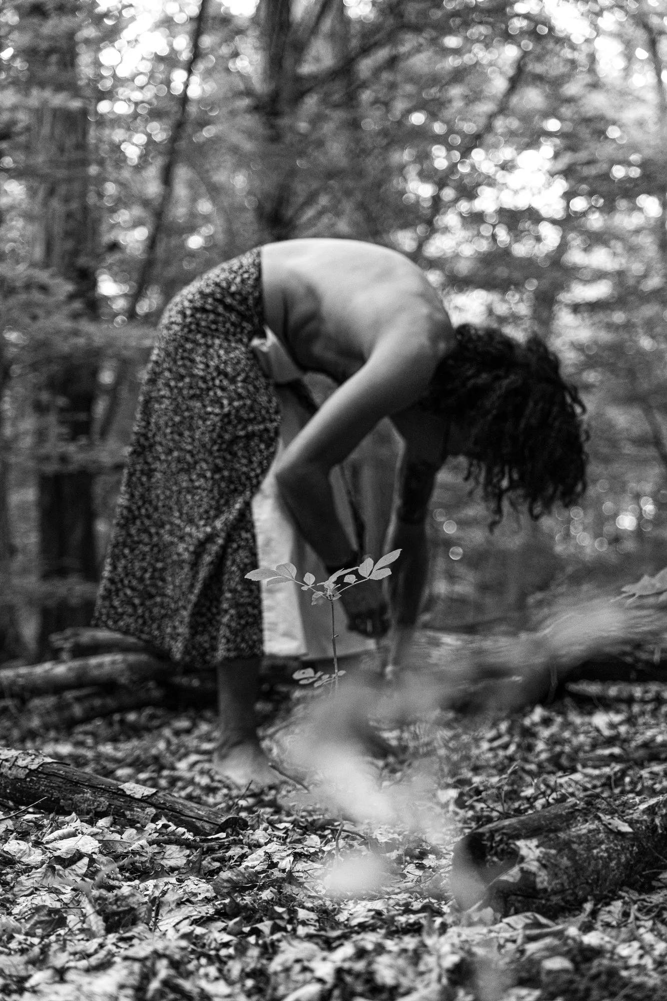 The Gravity of Roots