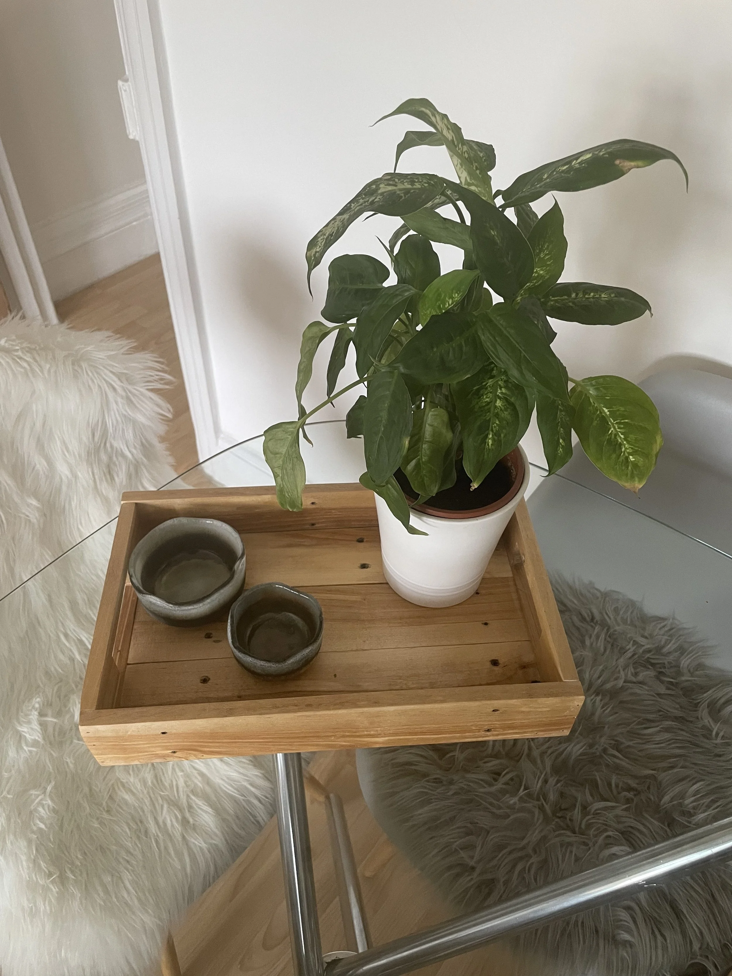 Wooden tray with grey pots and green plant in cream pot inside