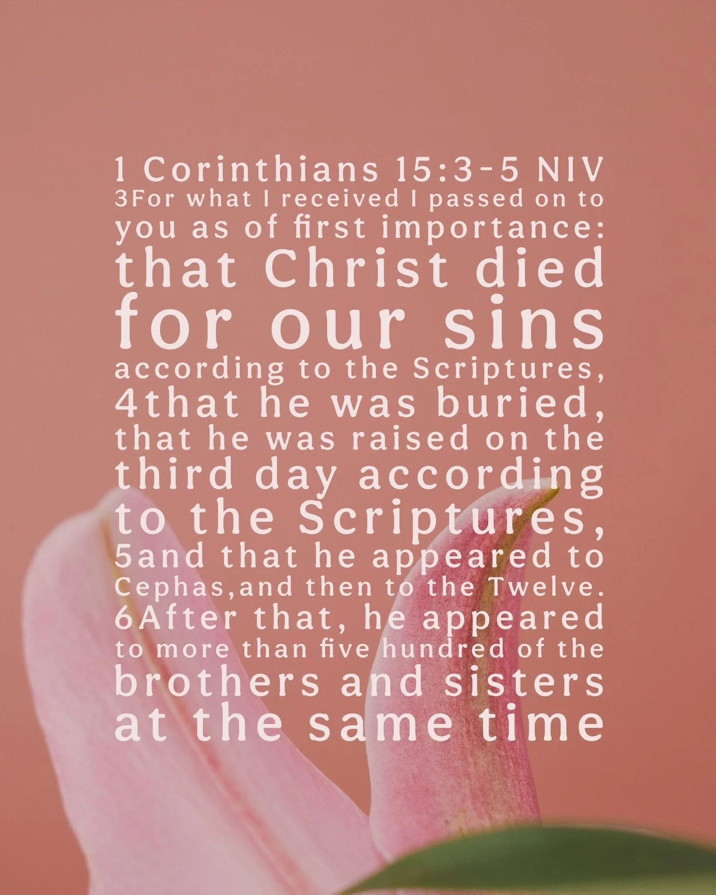 HE IS RISEN! 🕊️✝️

1 Corinthians 15:3-5 NIV
3For what I received I passed on to you as of first importance: that Christ died for our sins according to the Scriptures, 4that he was buried, that he was raised on the third day according to the Scriptur