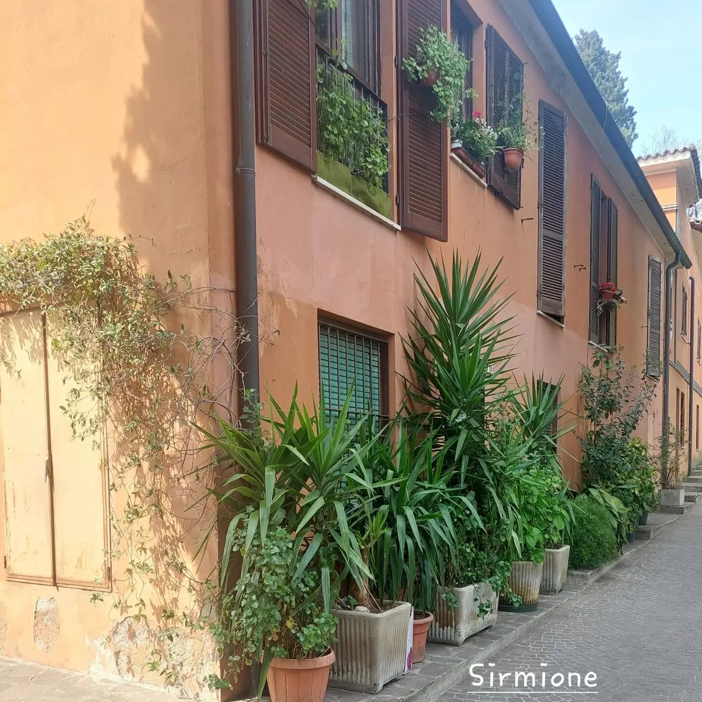 I had another fabulous day exploring Lake Garda, visited Sirmione ,Bardolino and back to Peschiera.  We took the hop on/off ferry . Lots of inspiration!! 
#sirmione 
#bardolino 
#peschiera 
#lakegarda 
#lakegardaitaly