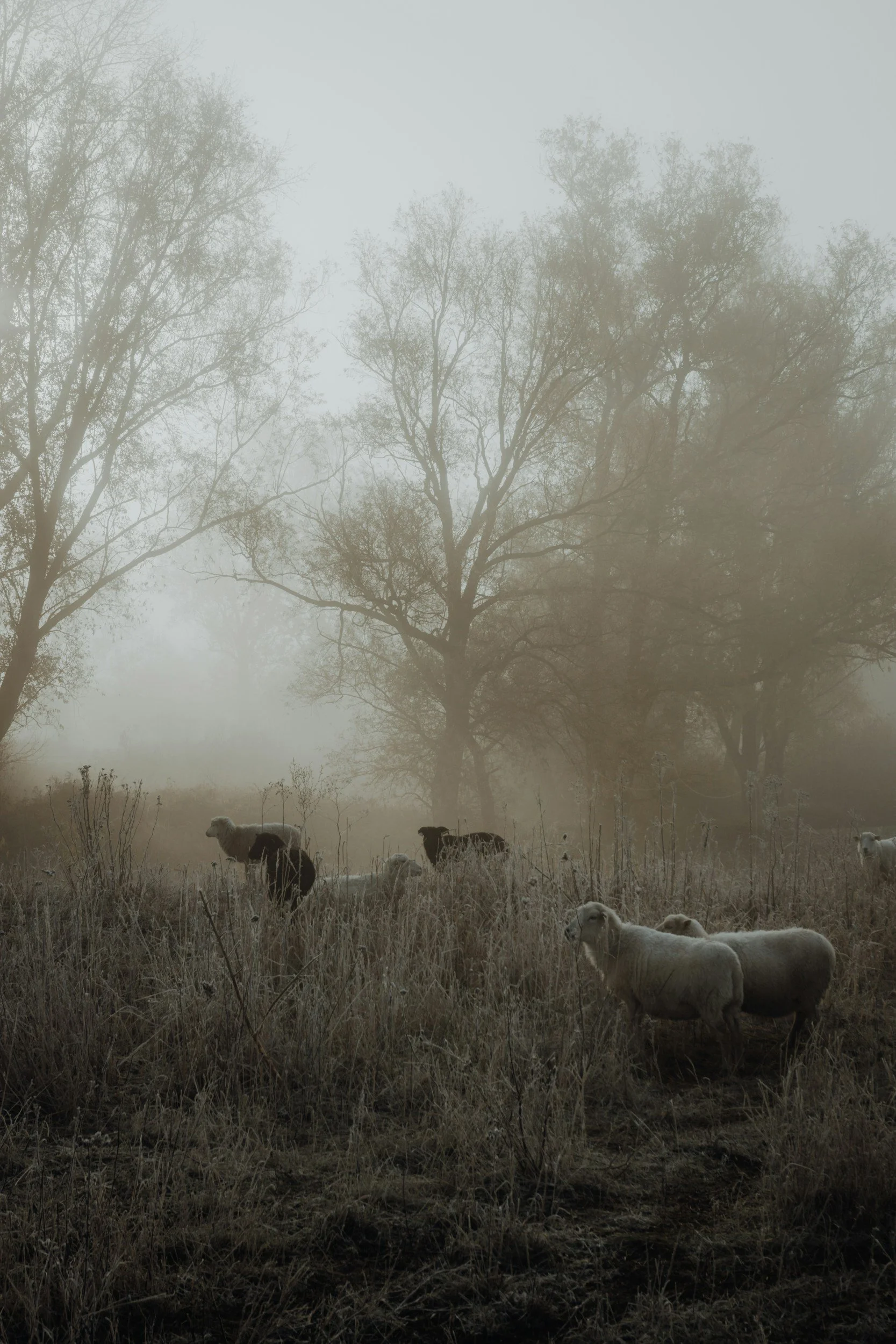 Week 7 - Ik kijk naar mijn zonde en kom tot inkeer