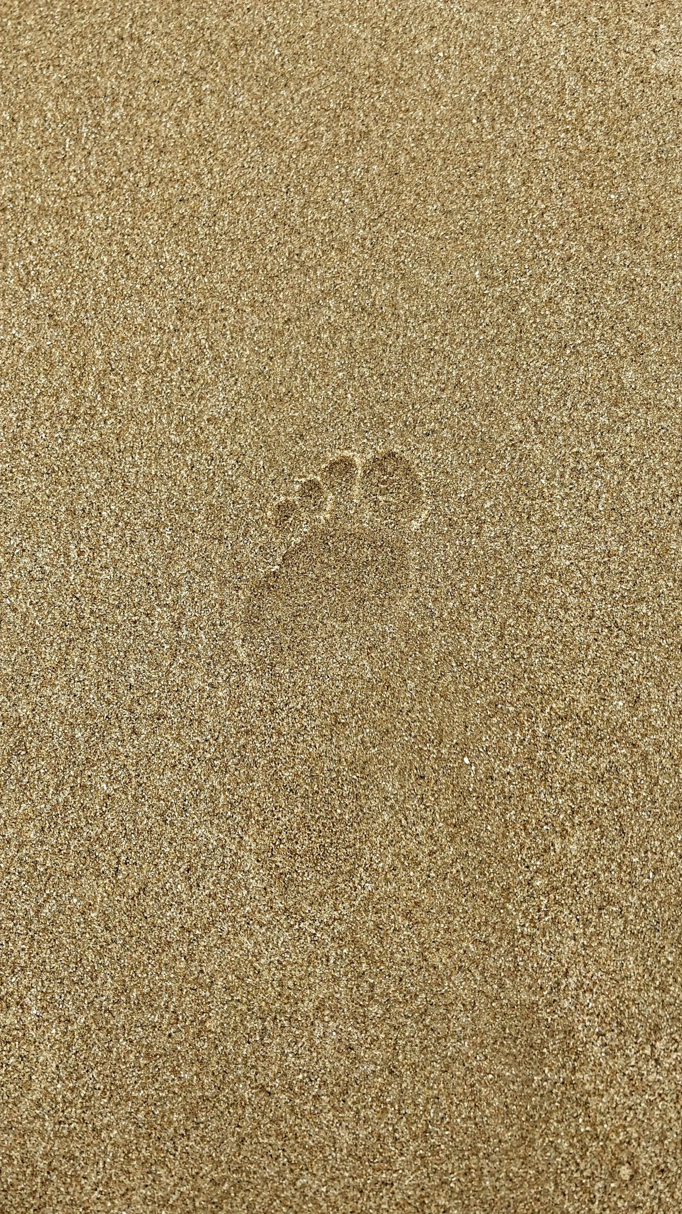 Week 20 - Face to face with Jesus