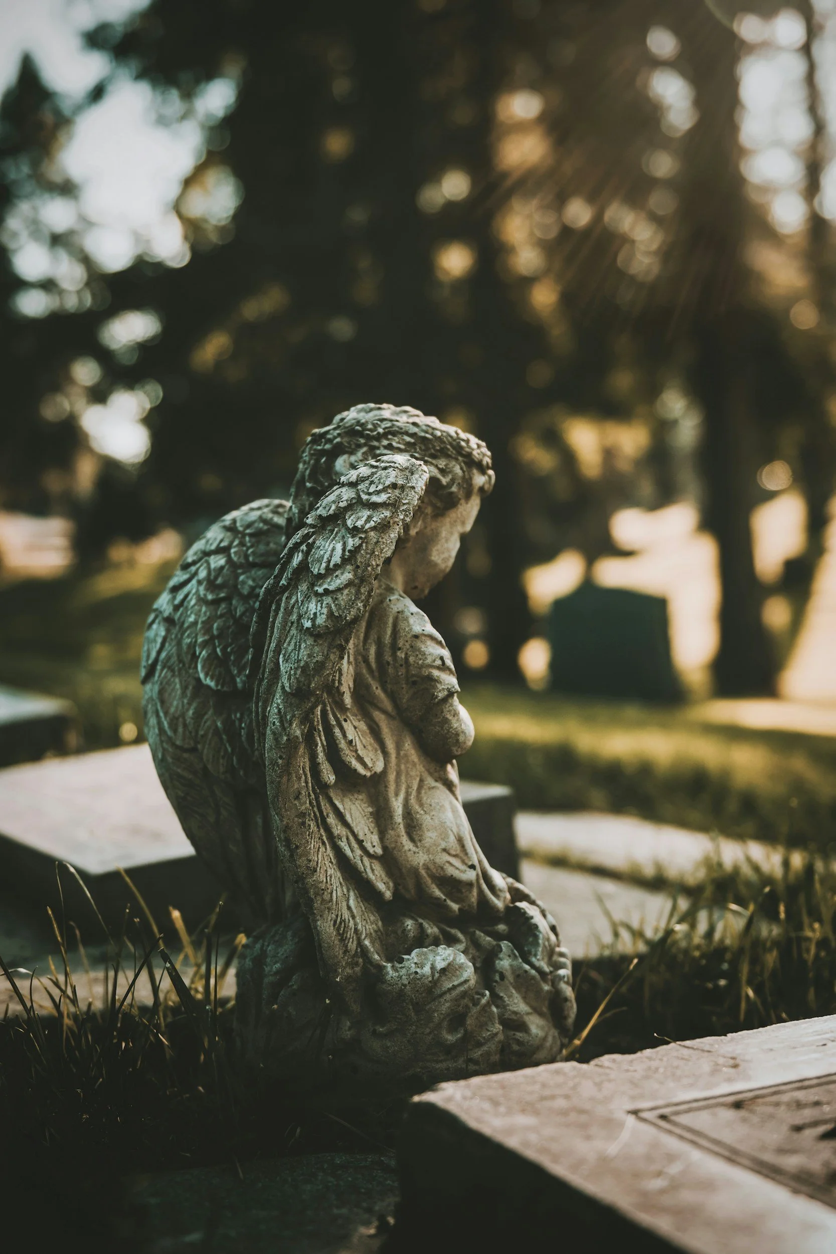 Week 26 - Jesus is risen
