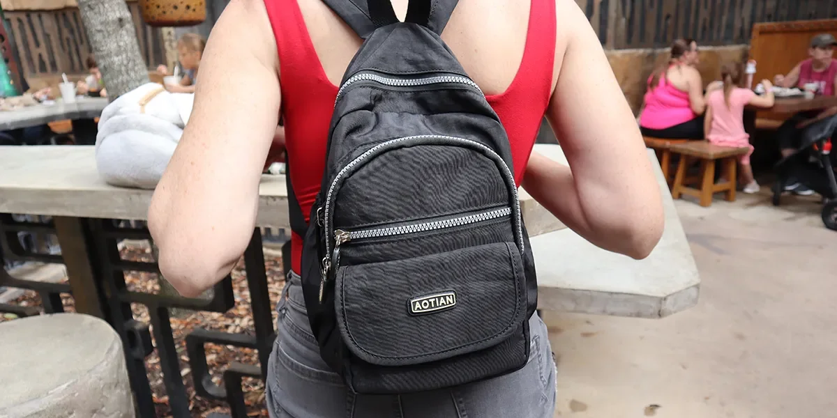 theme-park-backpack-list.webp