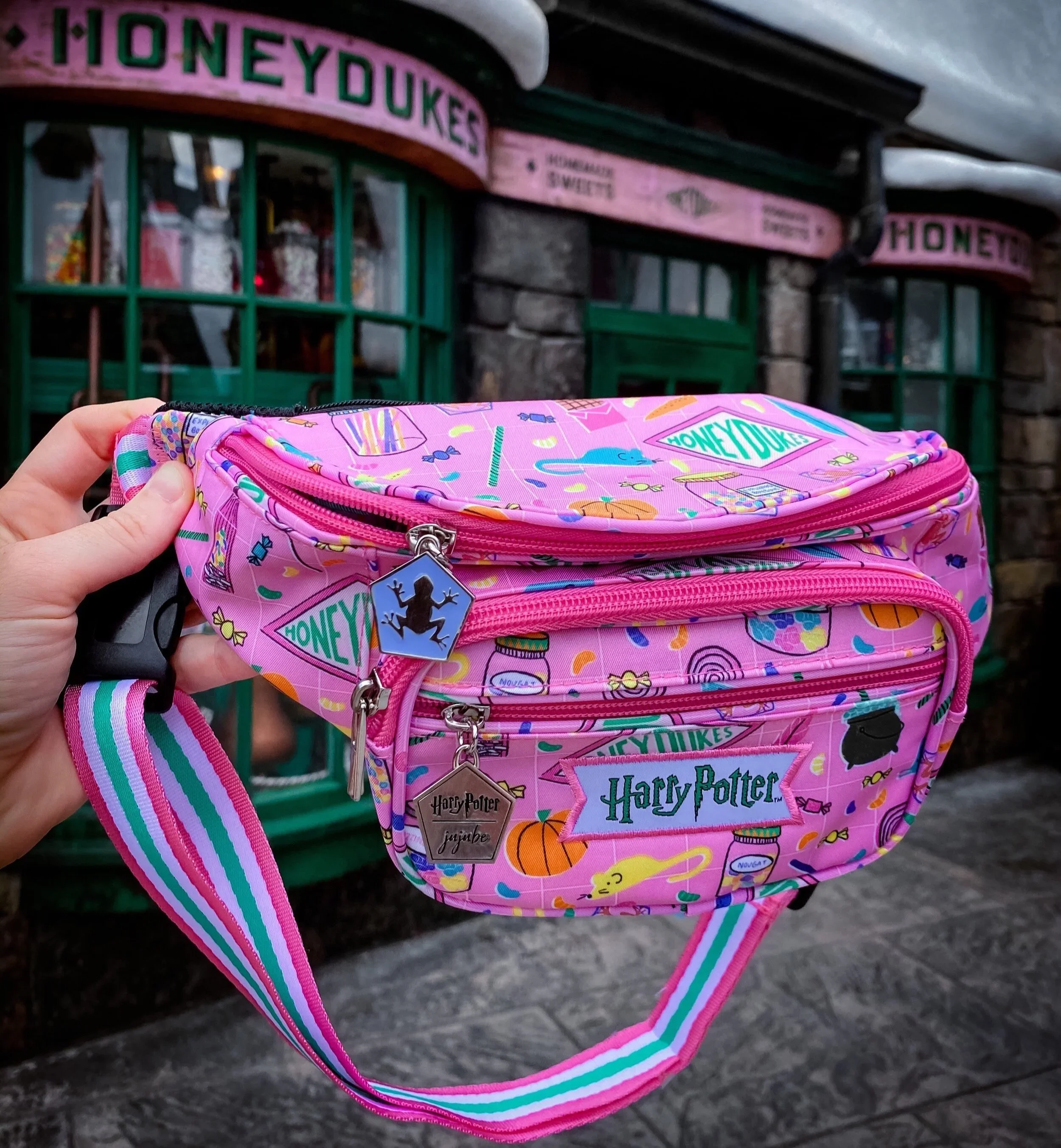 What’s in My Bag: Theme Park Edition 🎒