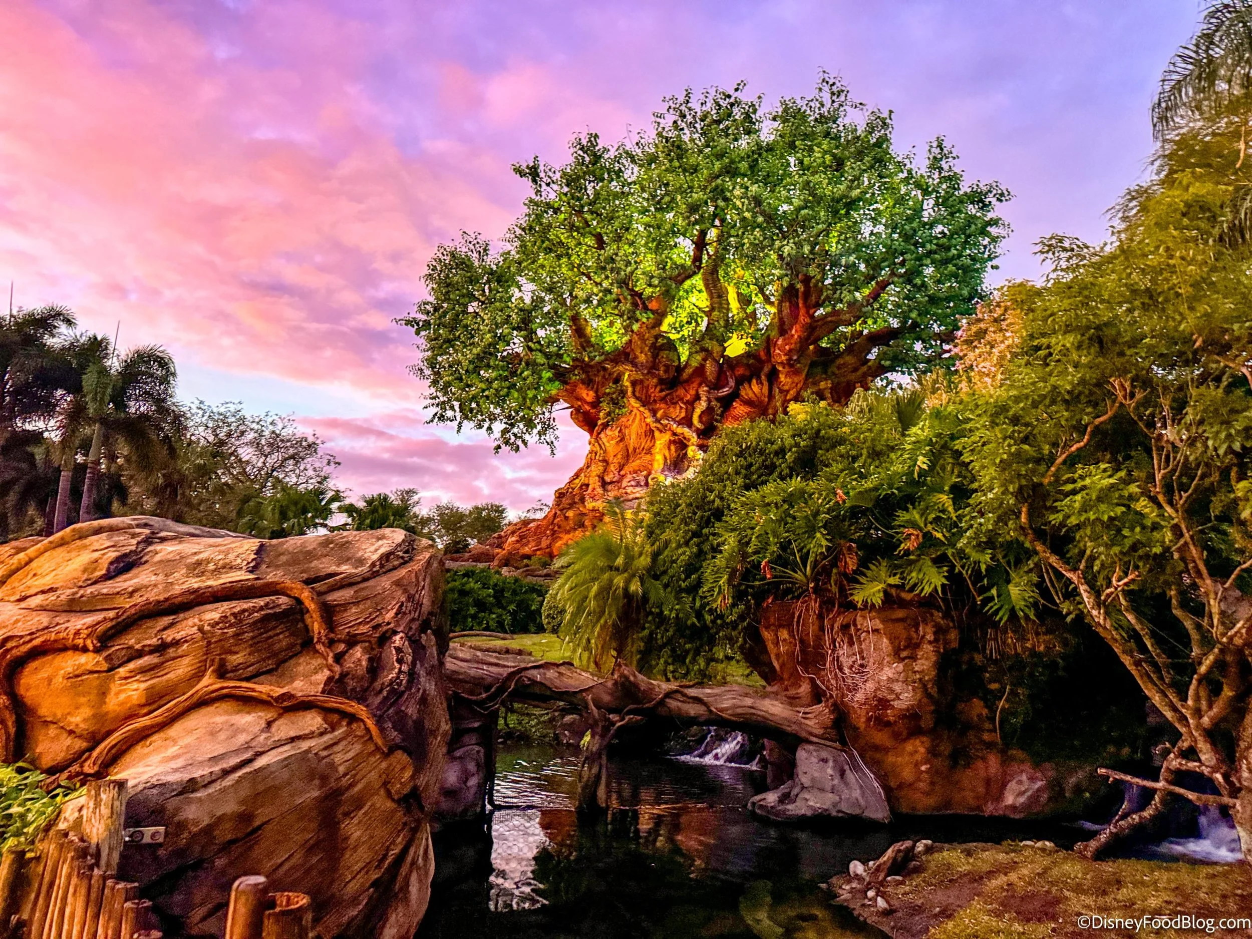 Disney’s Animal Kingdom Ride Thrill Level Ranking