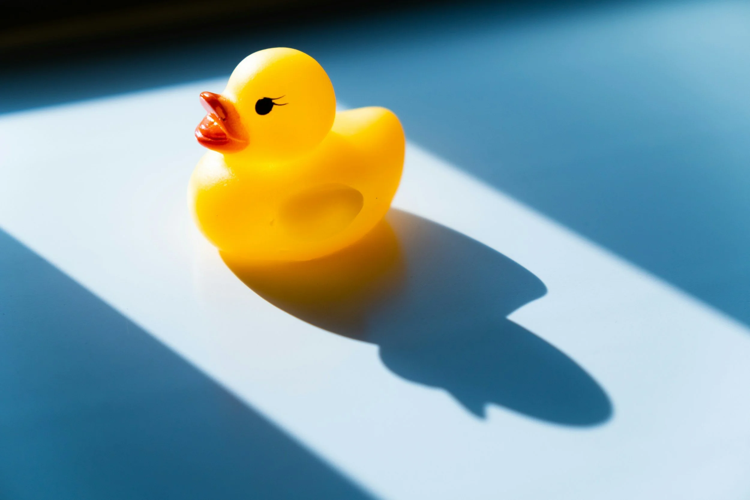 🦆 Cruise Ducks: The Quirky Tradition You’ll Love at Sea