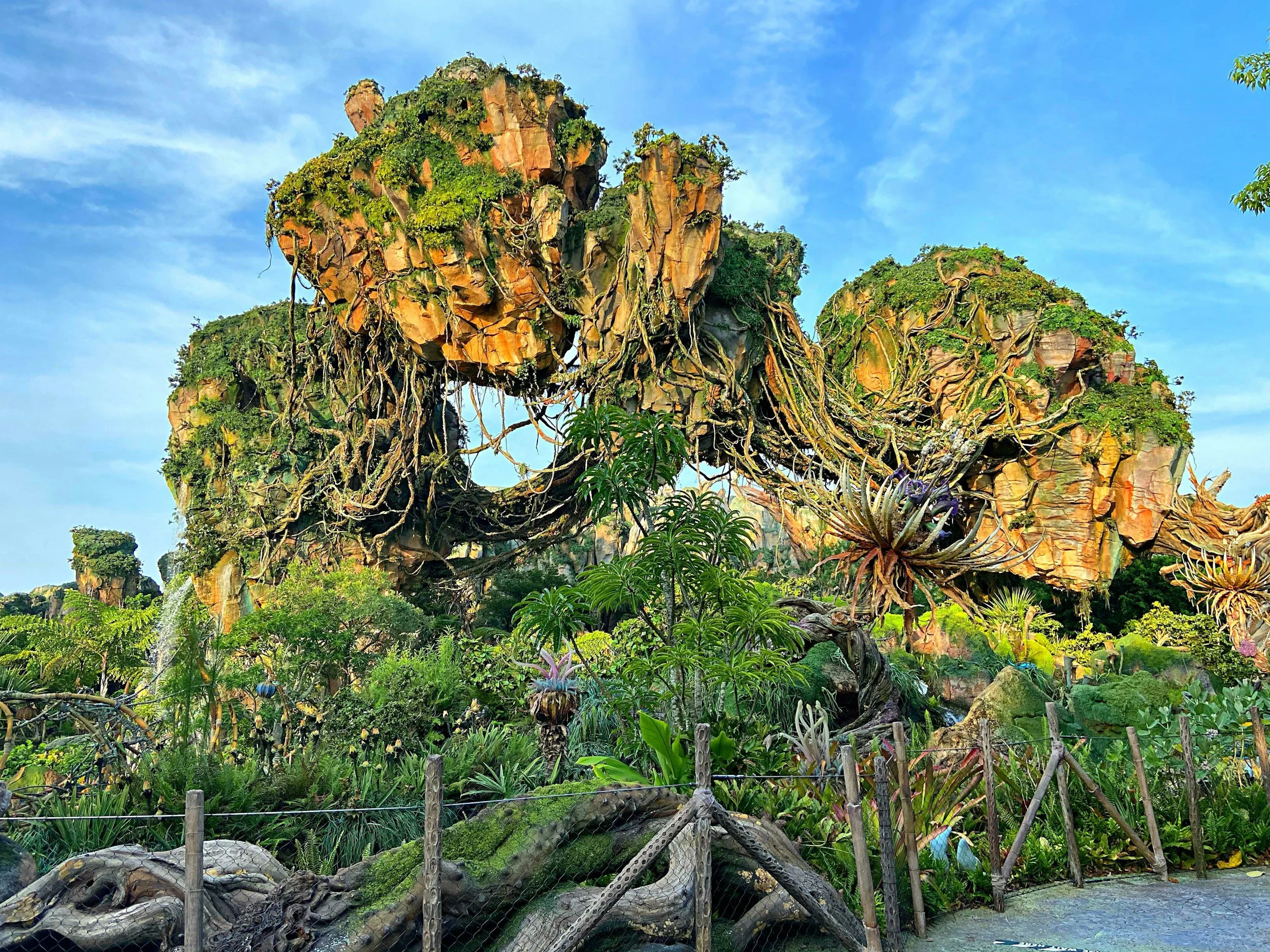 Disney’s Animal Kingdom Ride Thrill Level Ranking