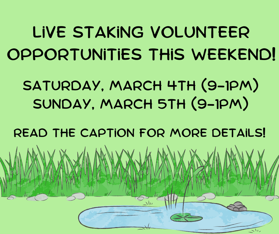 Get excited! (2).png