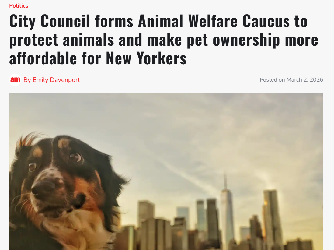 AMNY: City Council forms Animal Welfare Caucus