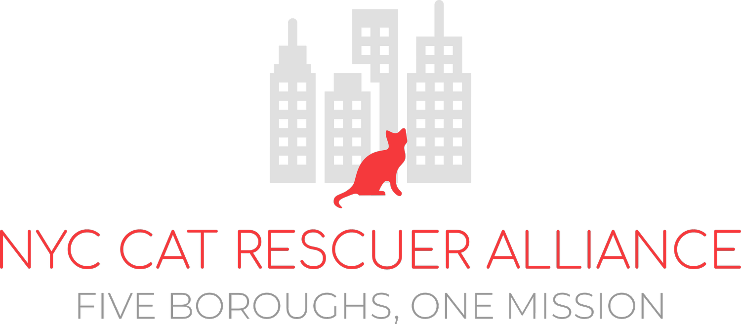 NYC Cat Rescuer Alliance