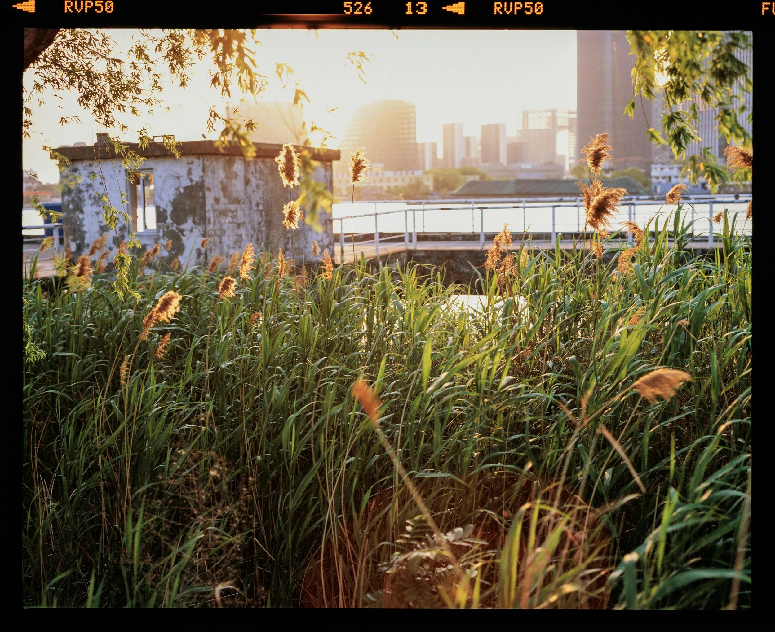 The Relatable Reversal | Luke 1:39-56