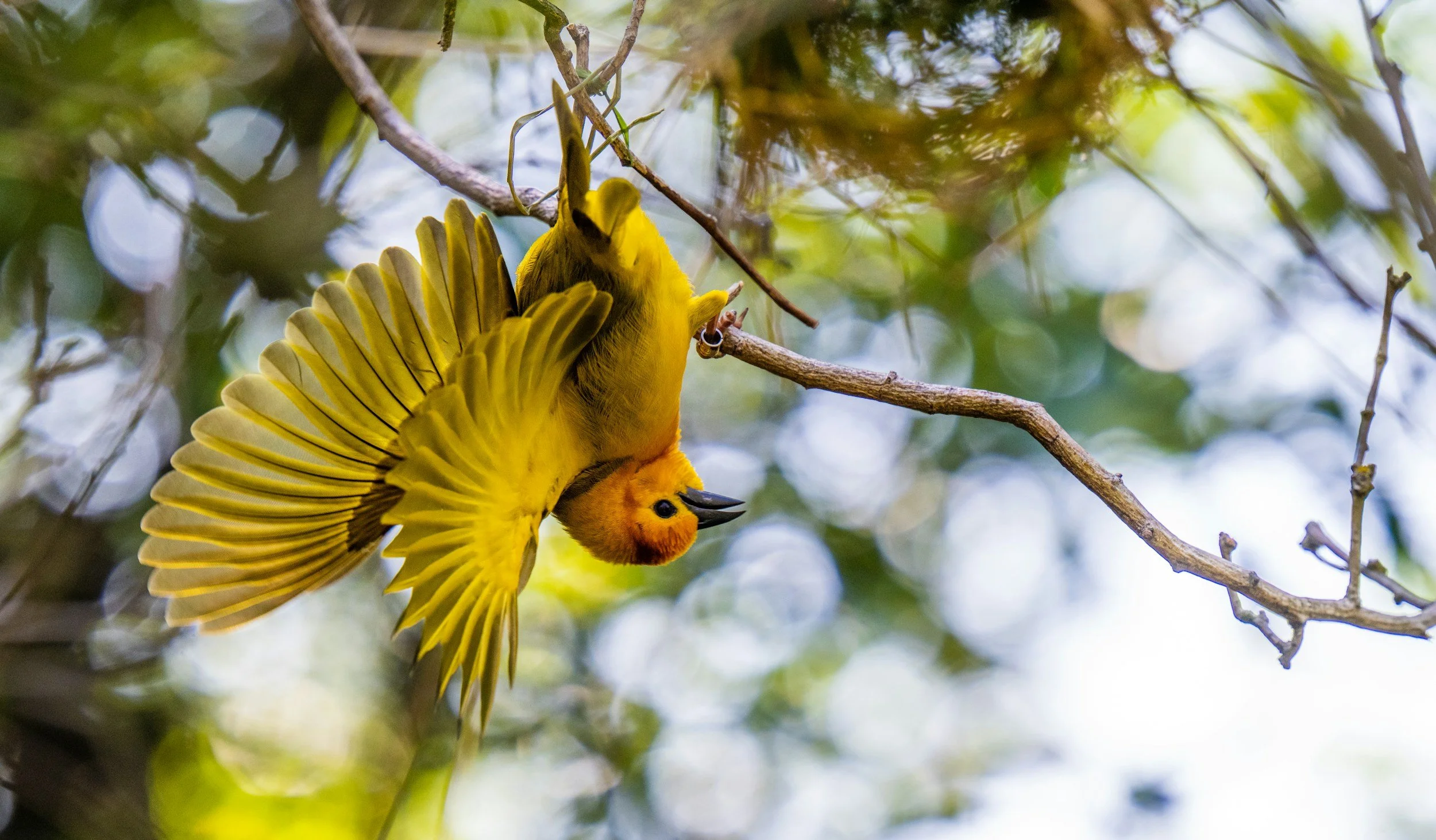 World Upside Down | Acts 17:1-9