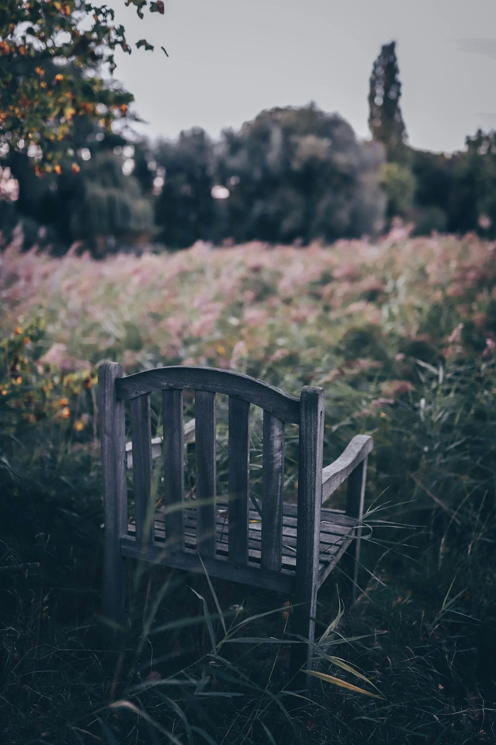Sound of Silence | Matthew 15:21-28