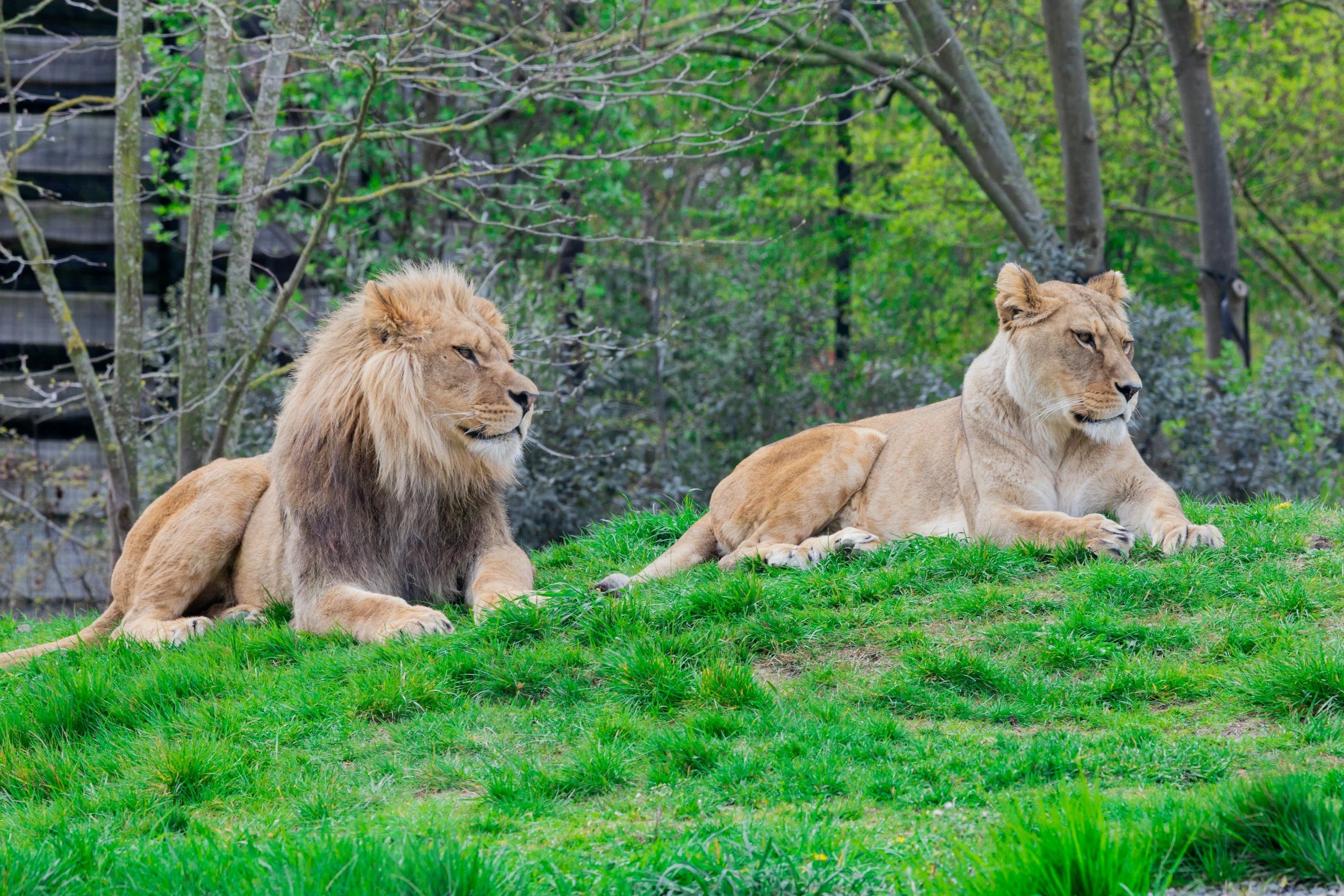 Called to Be Male and Female | Ephesians 5:22-33