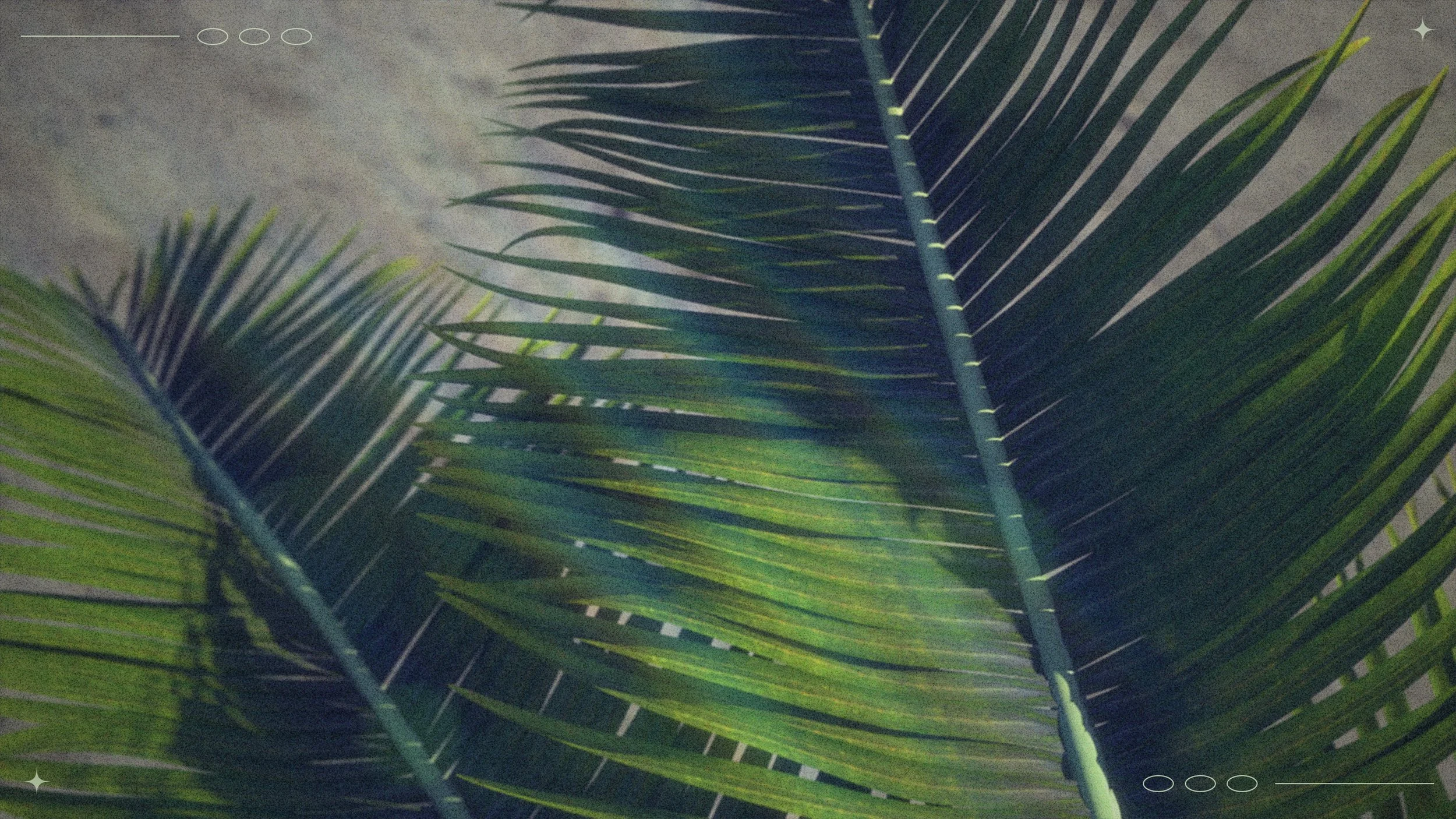 This King Comes To You HUMBLE | Palm Sunday | Philippians 2:5-11 and John 12:12-19