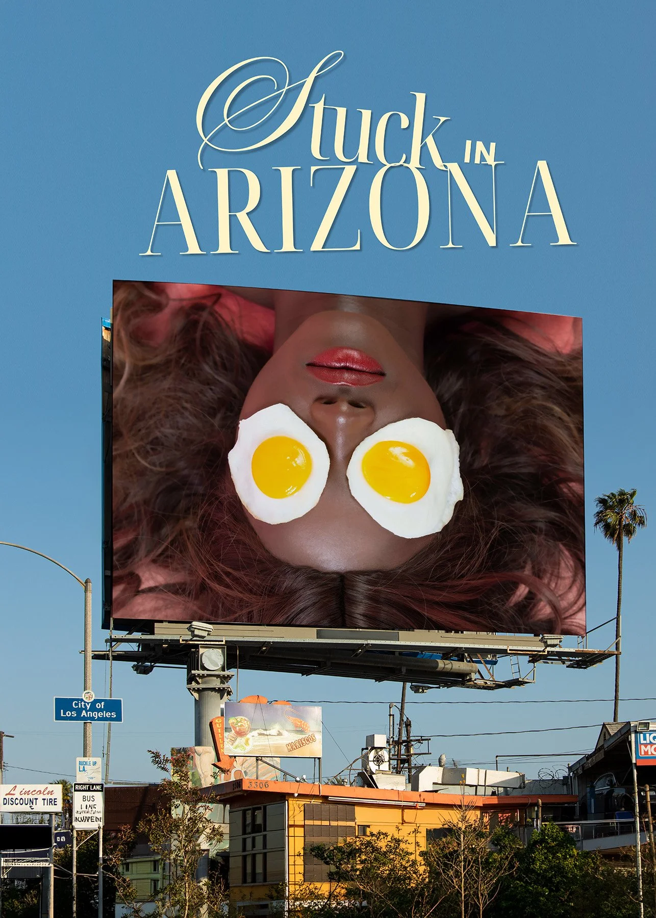STUCK_ARIZONA_BD.jpg