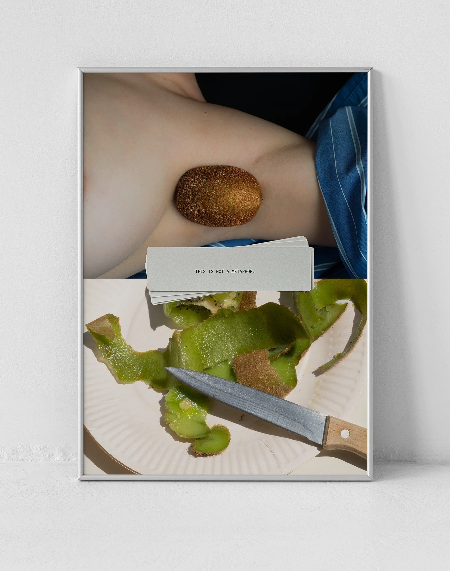 Metaphor, poster photo