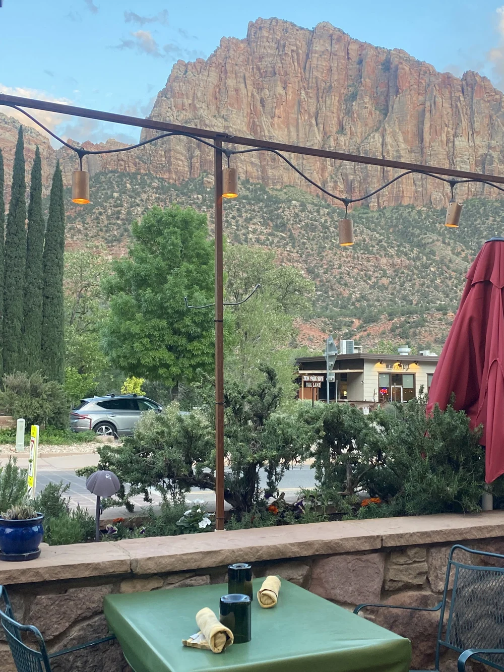 Spotted Dog Springdale