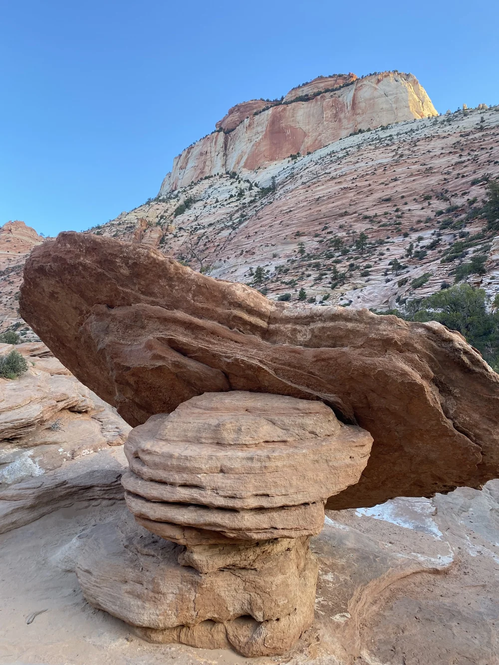 Zion National Park Canyon Overlook