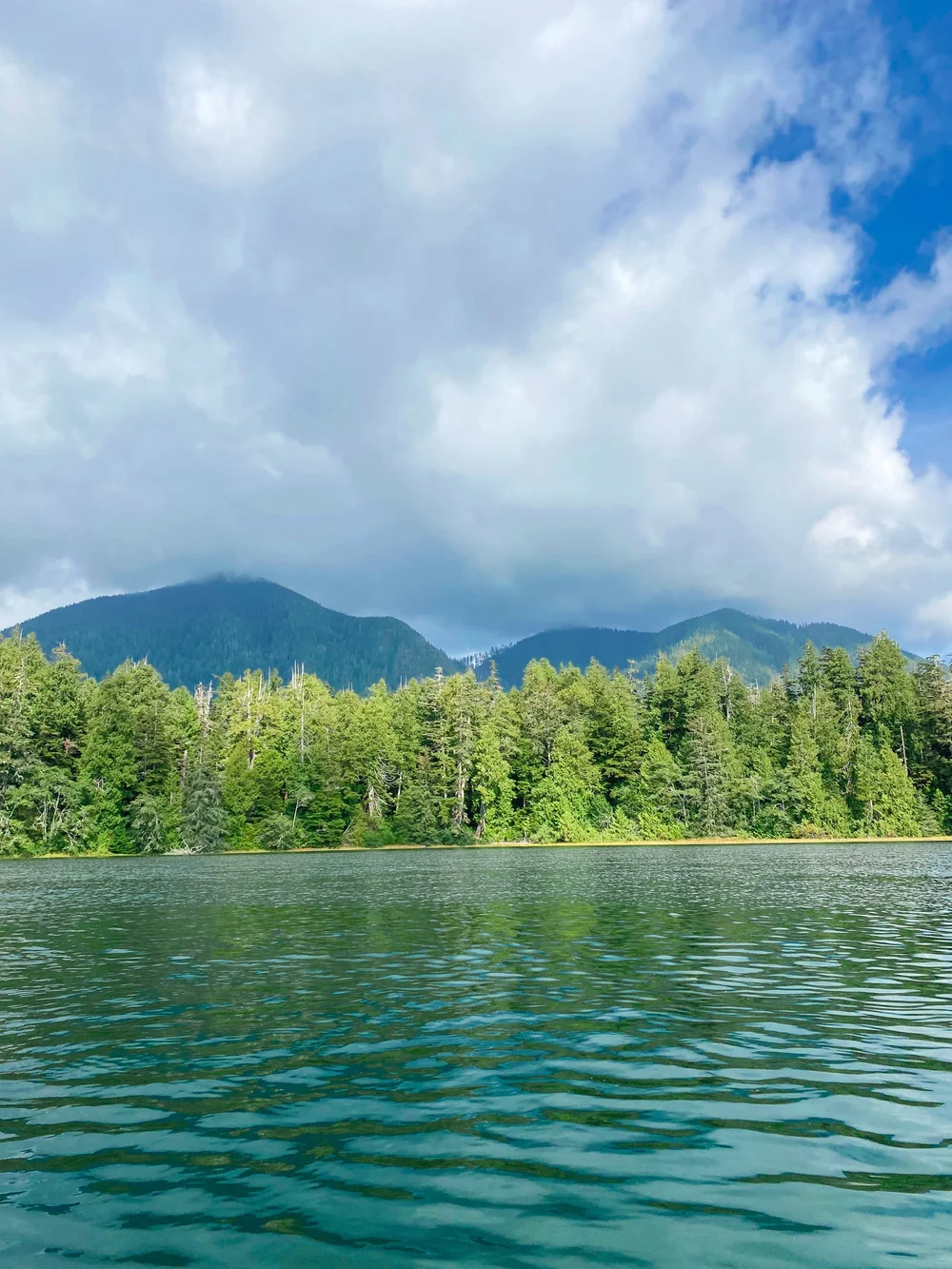 Tofino Kayaking