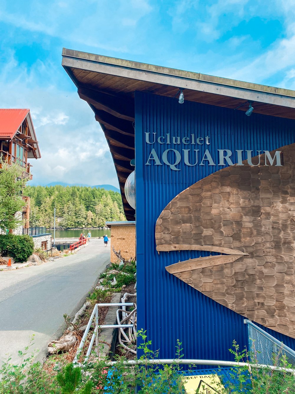 Ucluelet Aquarium 