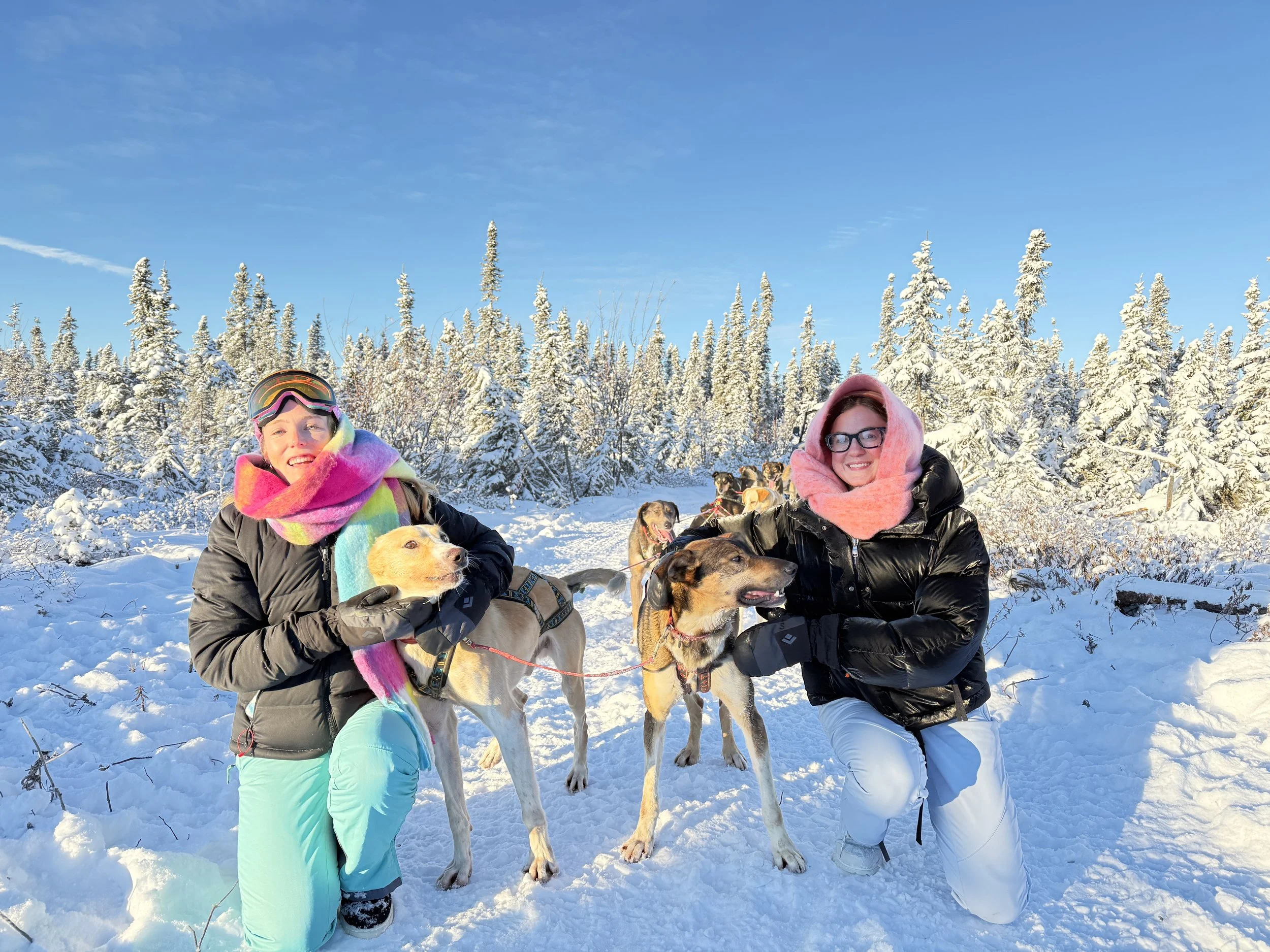 Dog Sledding in Fairbanks, Alaska
