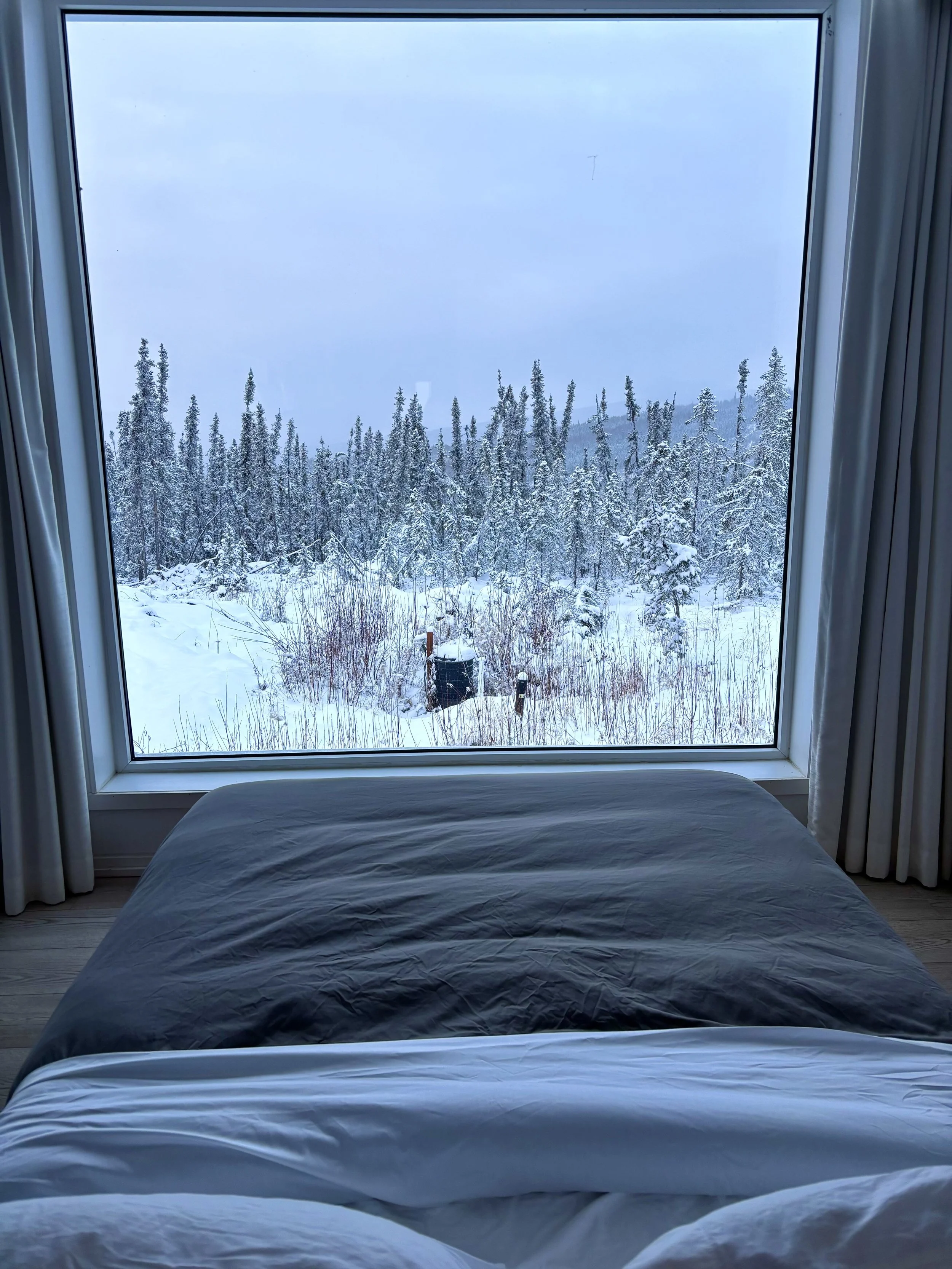 View from room Borealis Basecamp