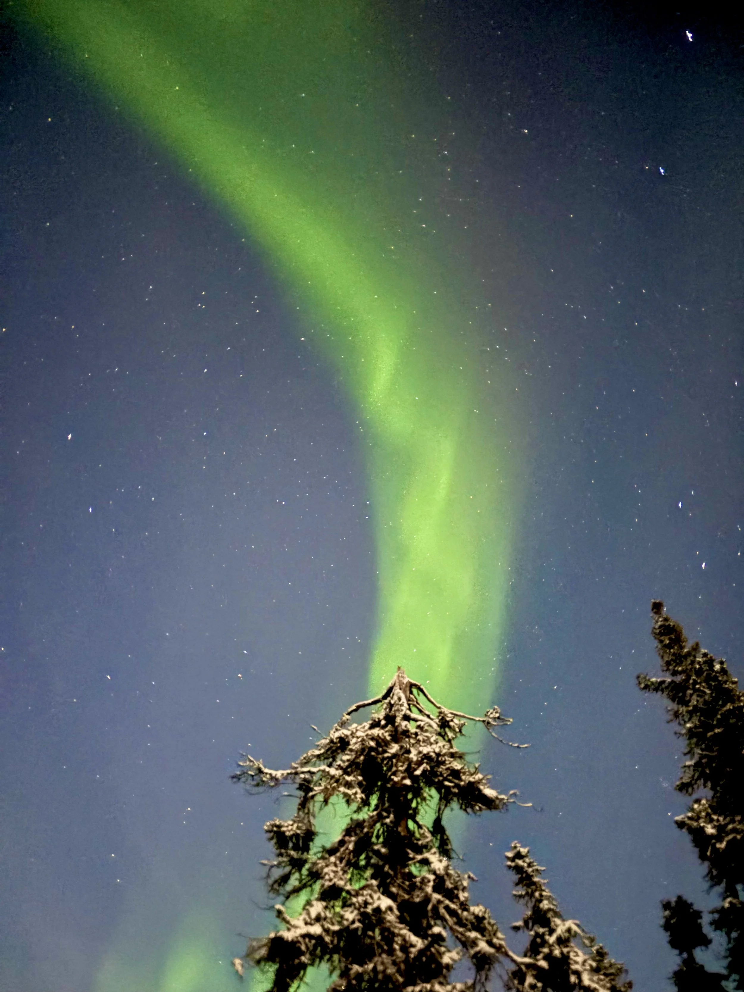 Northern Lights in Alaska