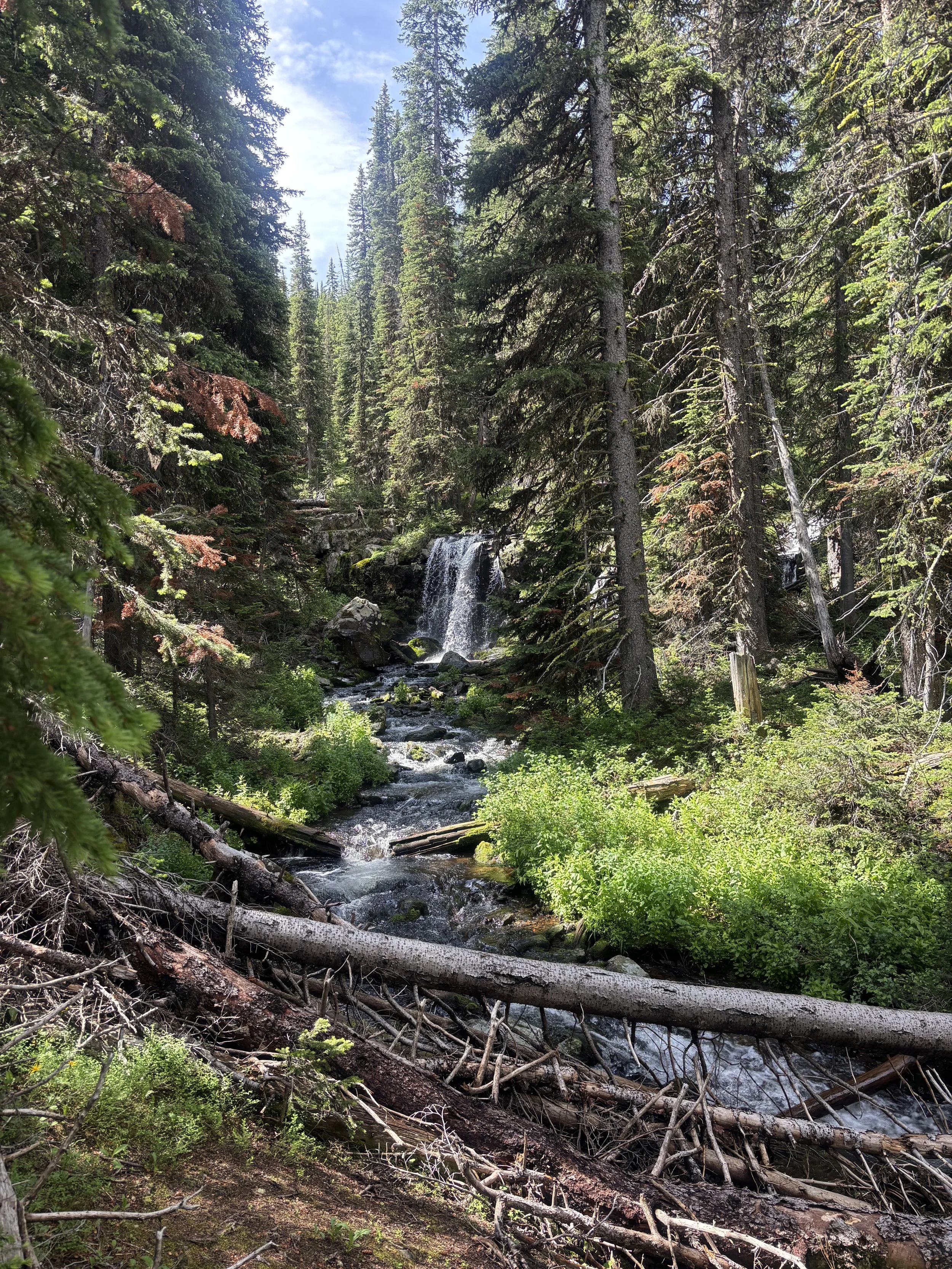 Hyalite Canyon