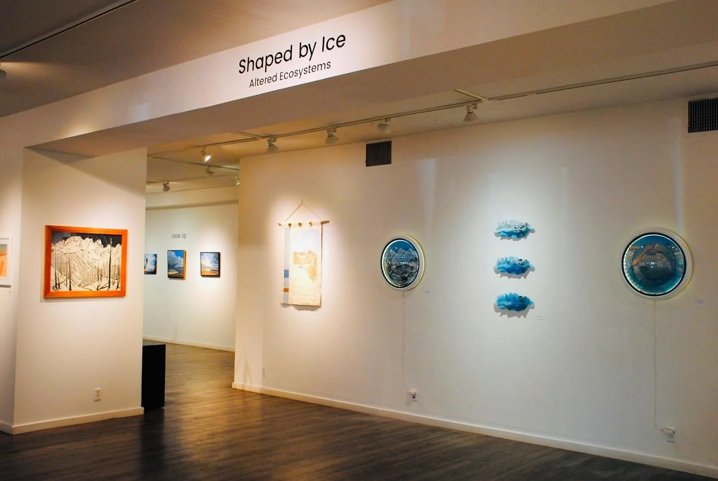 Shaped By Ice is up at Confluence Gallery until February 21st! These artworks are reflections all of our time with the North Cascade Glacier Climate Project, directed by Mauri Pelto, alongside Art Director Jill Pelto. I&rsquo;m so grateful to be a pa
