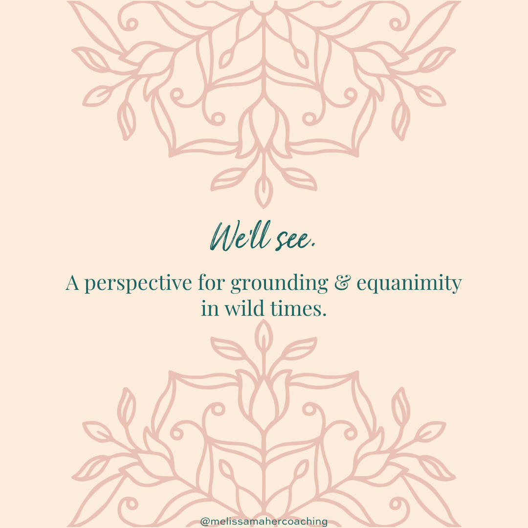 We’ll See (A perspective for grounding and equanimity in wild times)