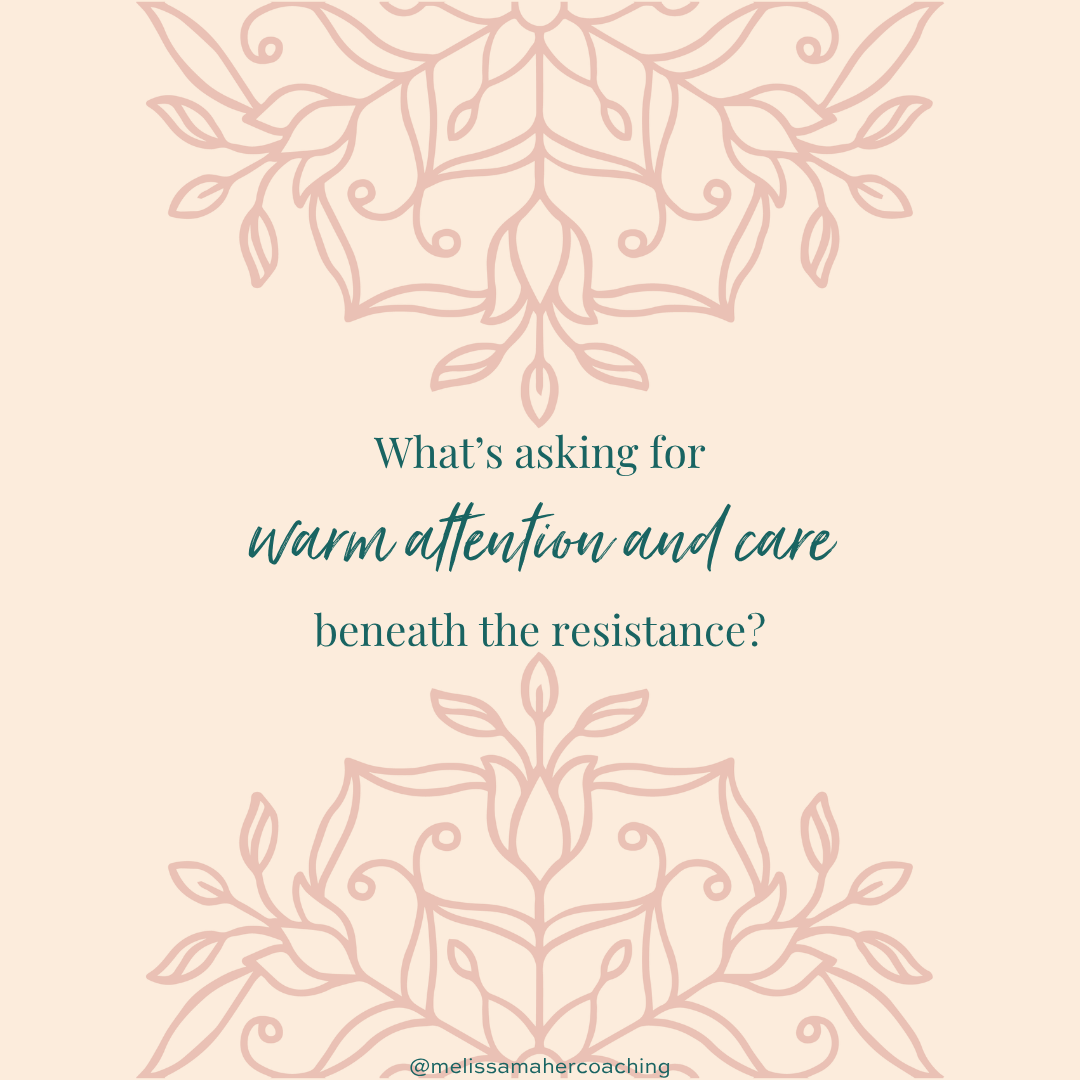 The Tender Thing Underneath the Resistance