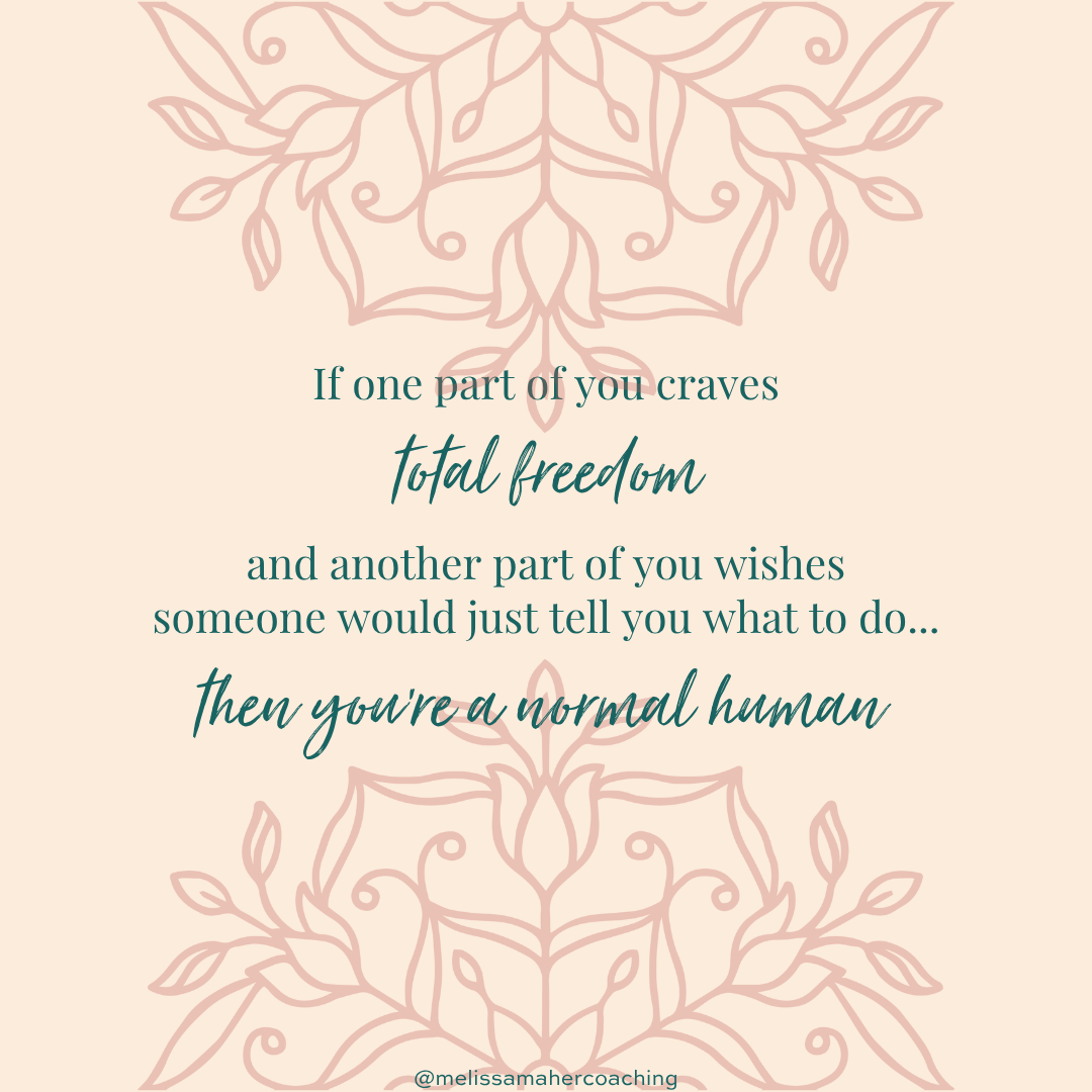 Ever Wish Someone Would Just Tell You What to Do? (The Paradox of Freedom)