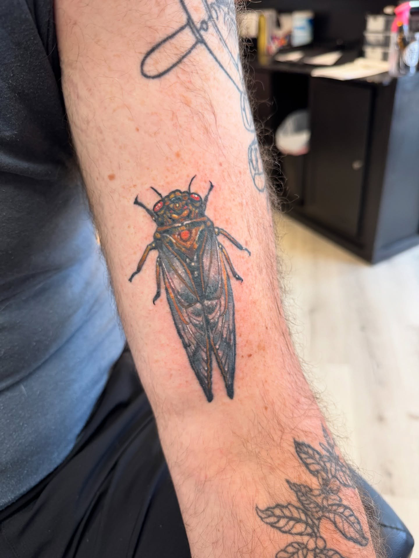 Colored in this cicada tattoo from my buddy Jeremy today lines not by me , but boy was it fun to add on to !  If you need an old tattoo fixed up or just revitalized a bit come see me @darkstalliontattoo I always have time for a walk in ! 
#cicada #ci