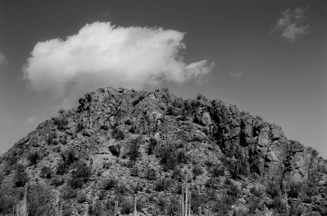 PANF DESERT 1-261-positive-23.jpg