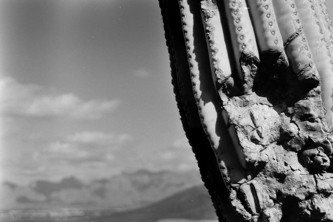 PANF DESERT 1-258-positive-23.jpg