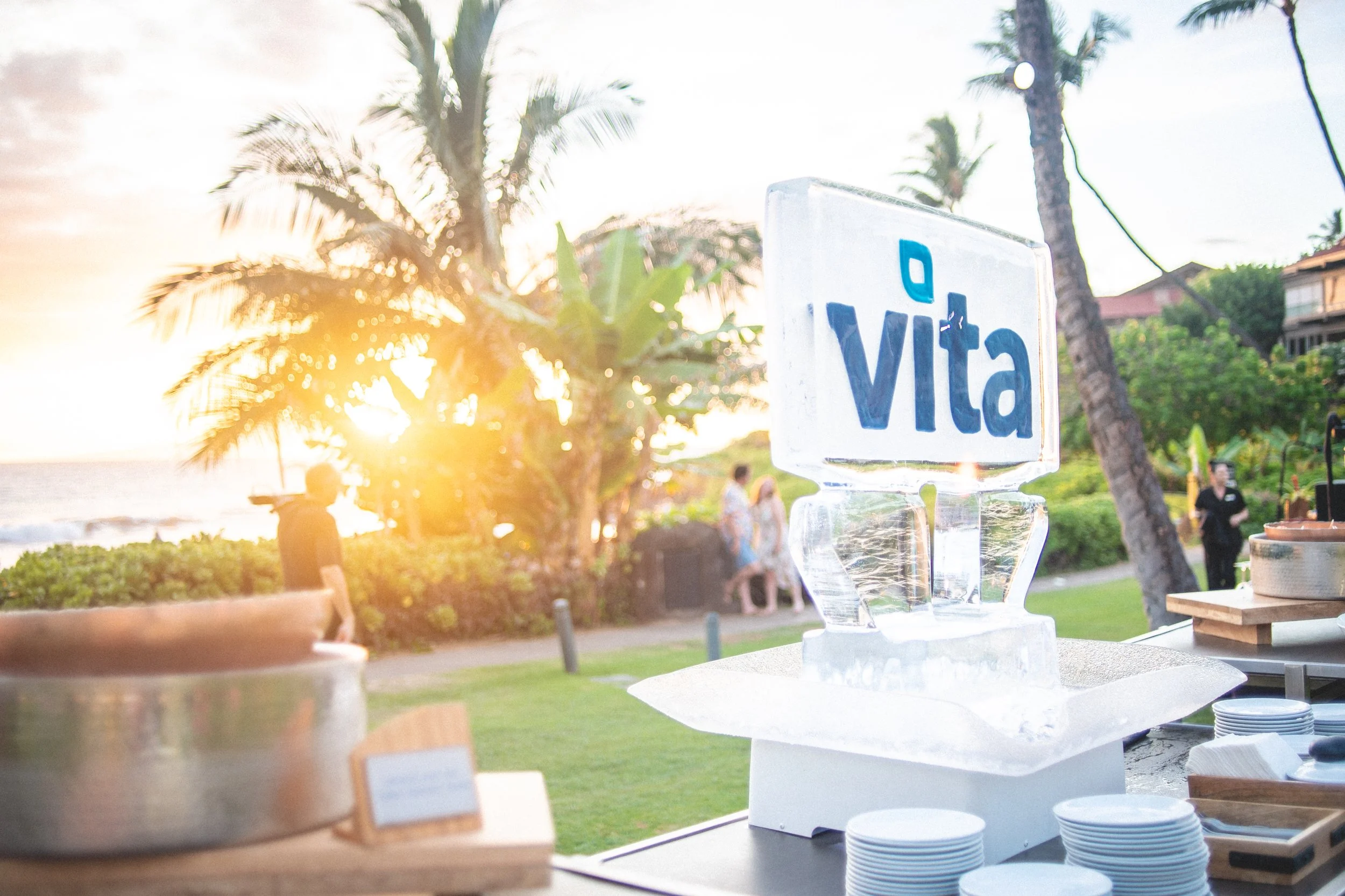 VITA_HAWAII2019-160.jpg